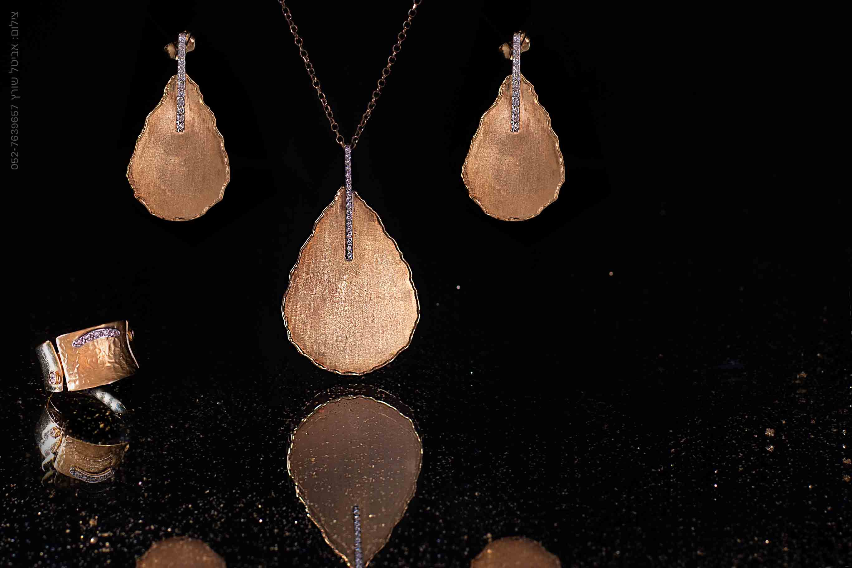 -אביטל שורץ-7