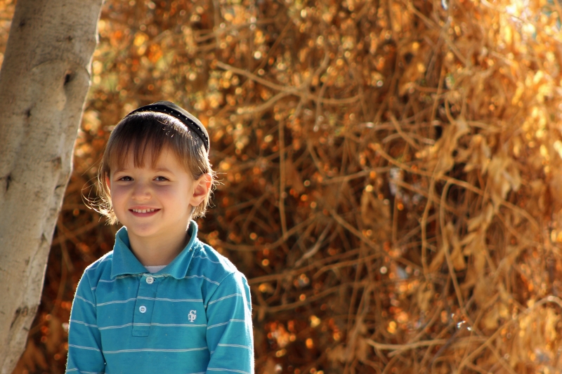 אבינו (800x533)