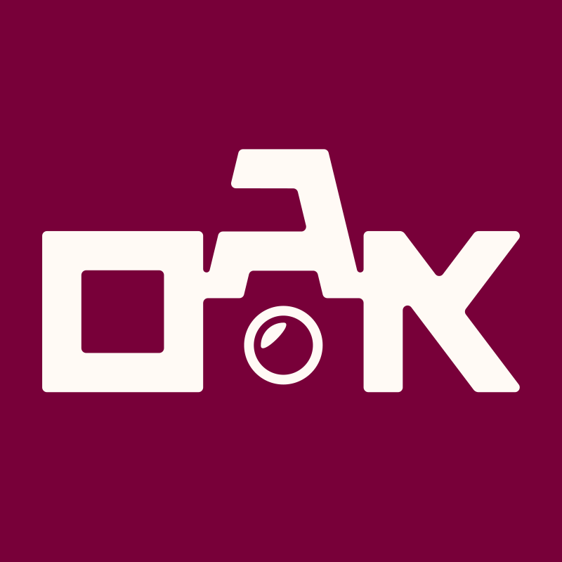 אגם - עיצוב לוגו לצלמת סטילס