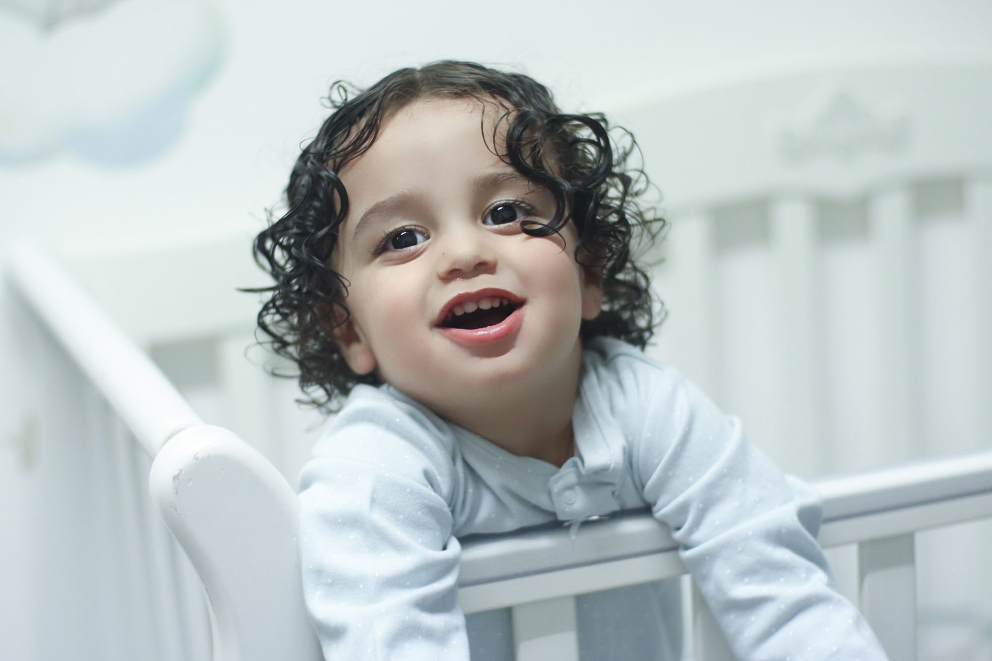 אדל גניש צילום 0556771745 (2).jpg