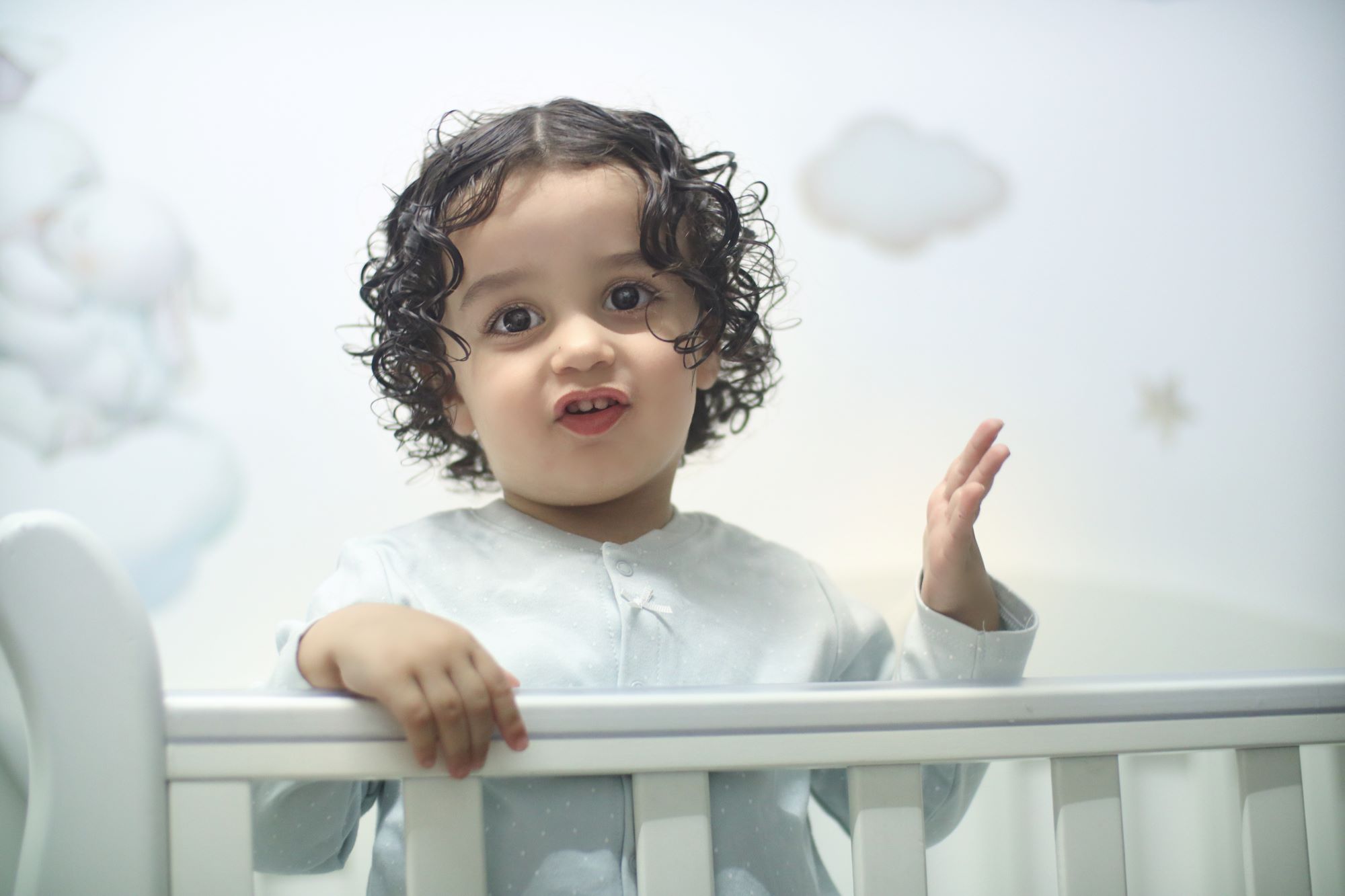 אדל גניש צילום 0556771745 (3).jpg