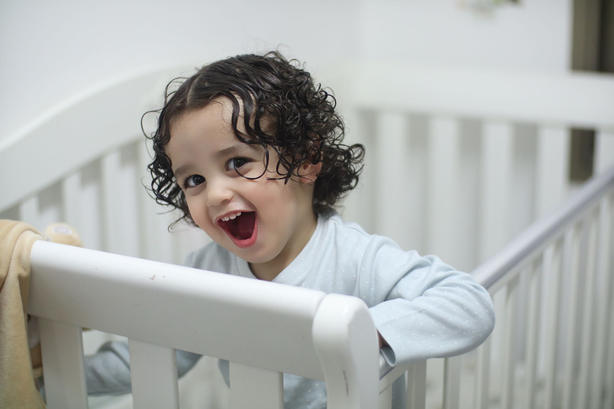 אדל גניש צילום 0556771745 (5).jpg