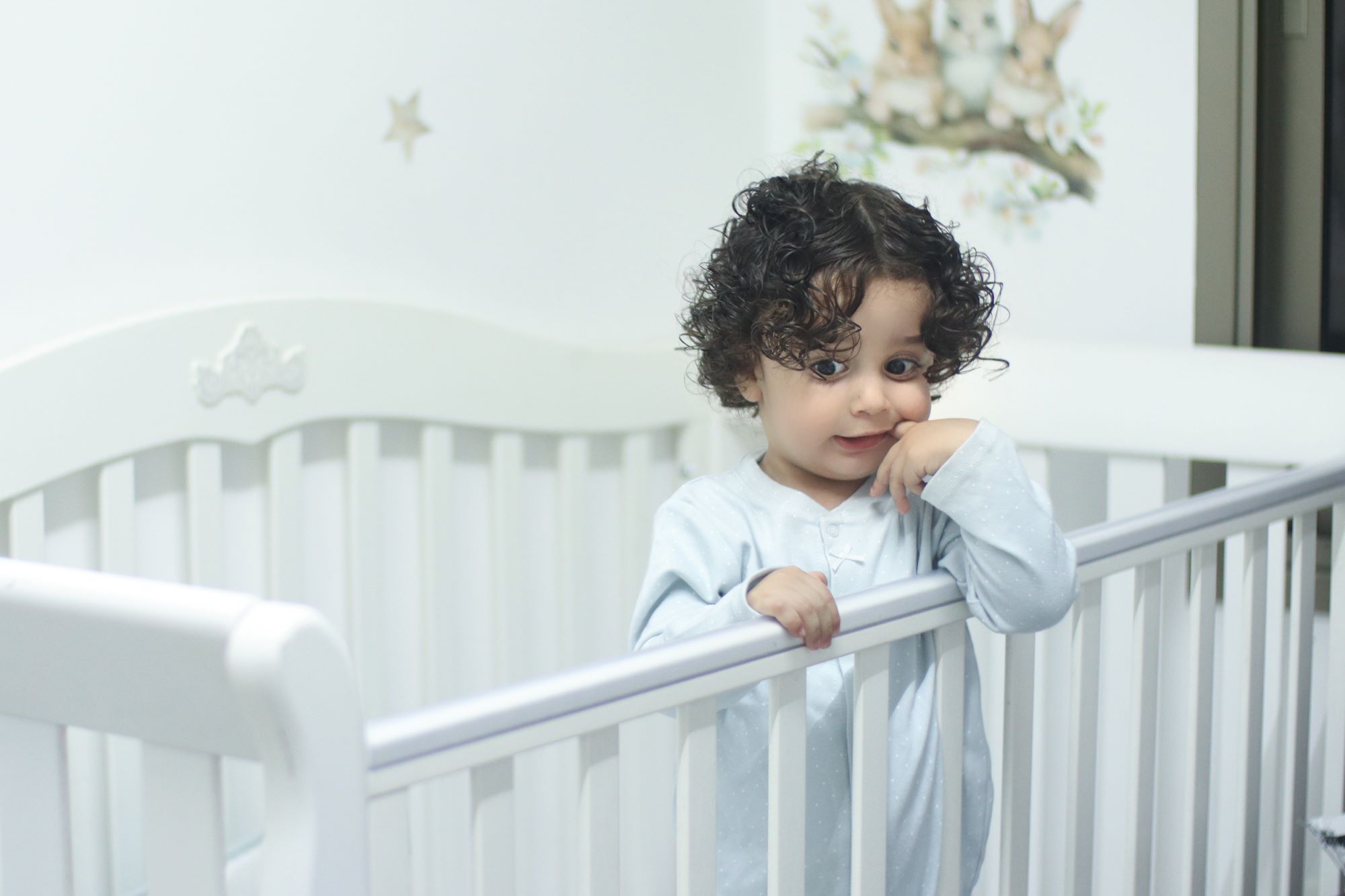 אדל גניש צילום 0556771745 (8).jpg