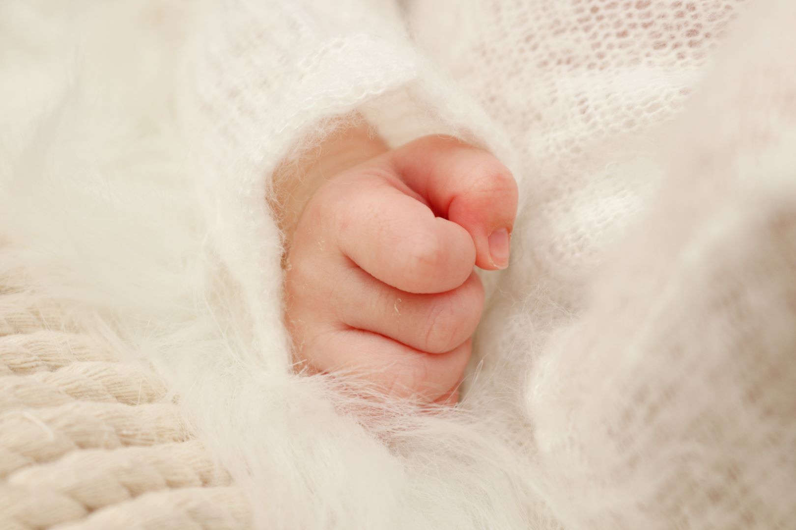 אדל גניש 05567771745 (10).jpg