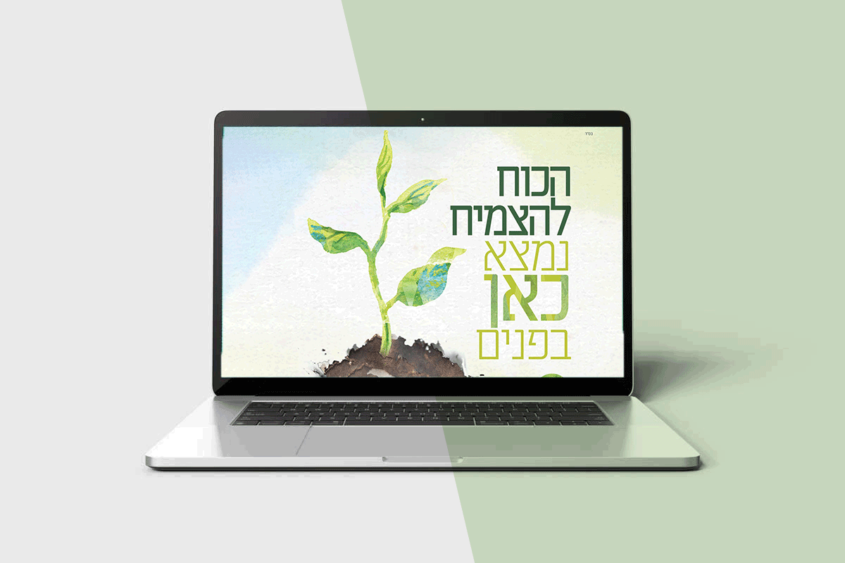 אומנות-ואימון.gif