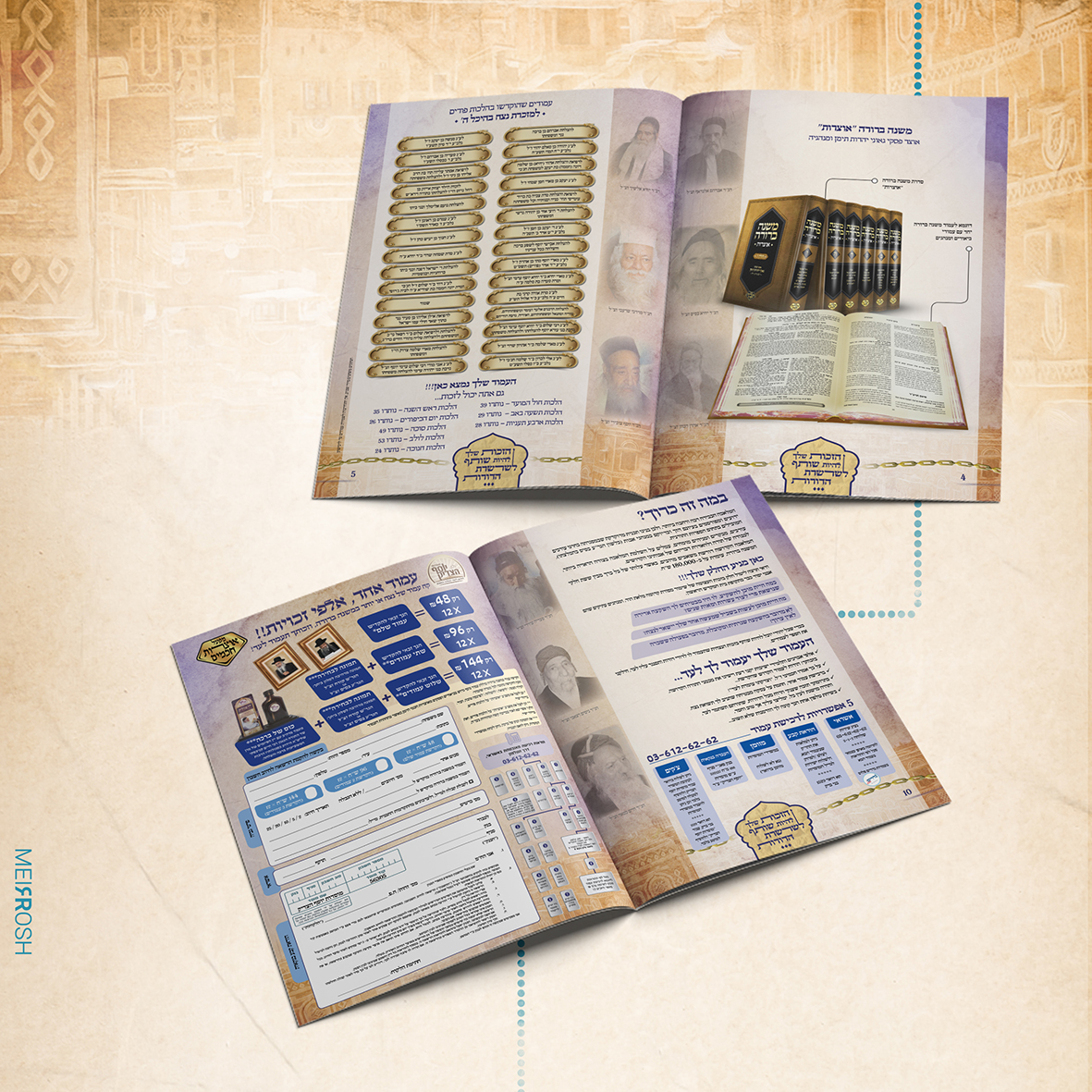 אוצרות משנ"ב פרוספקט MeirRoshDesign