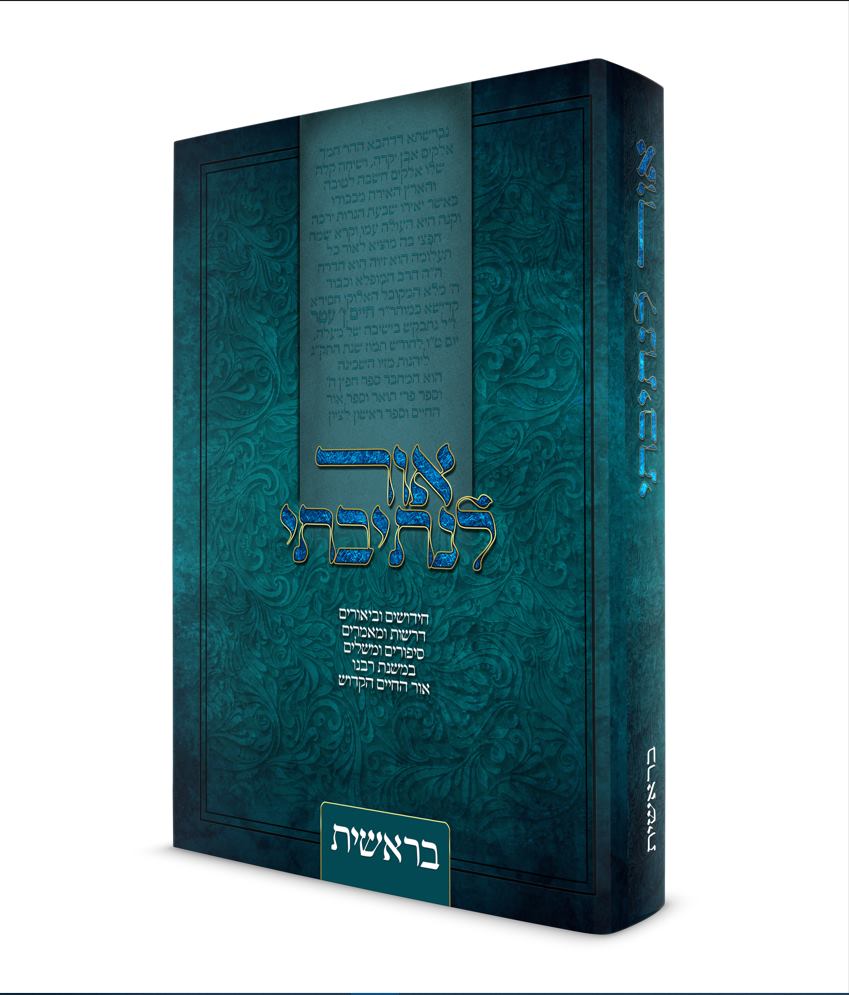 אור לנתיבתי הדמיה.jpg