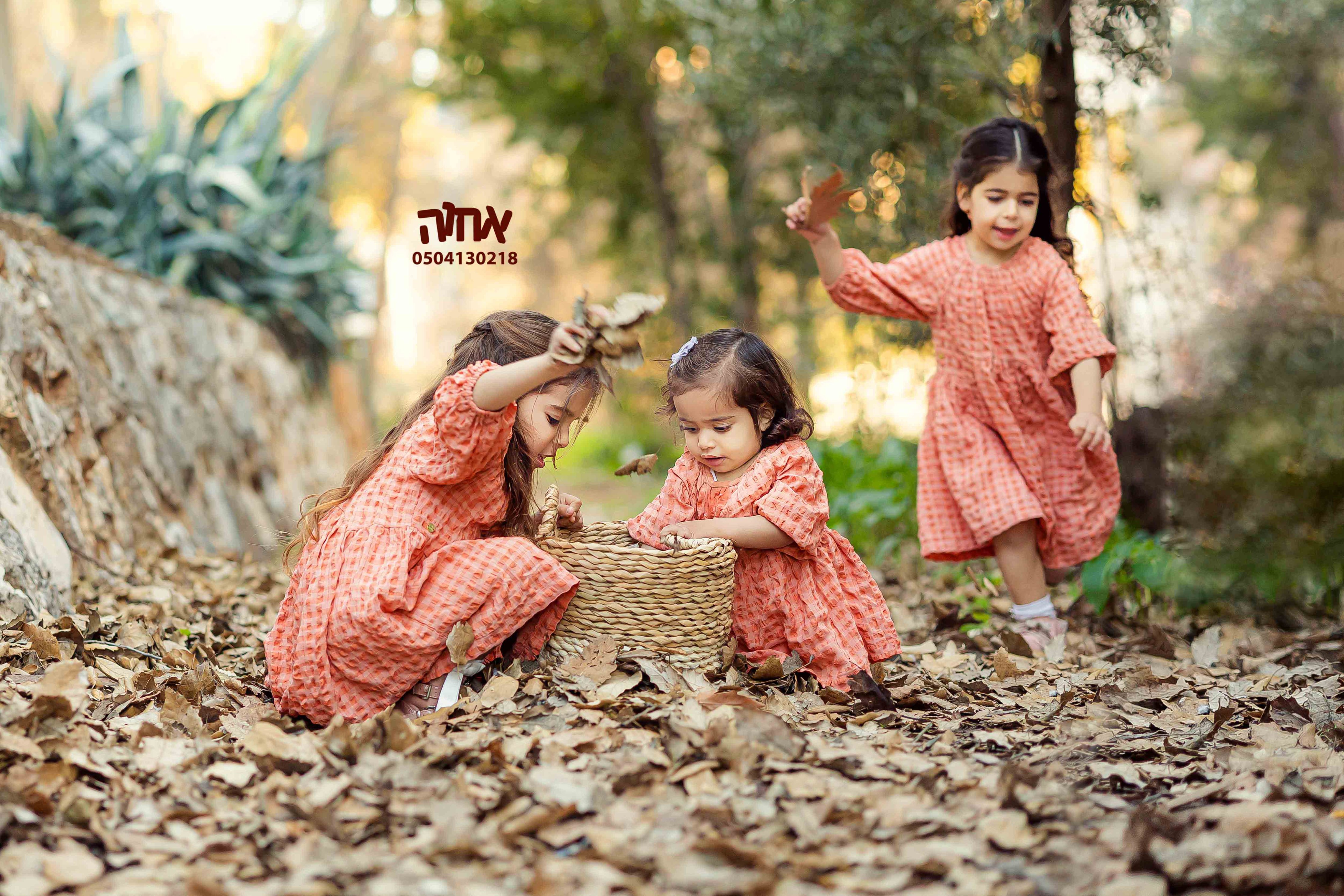 אחוה פלוטקין 0504130218