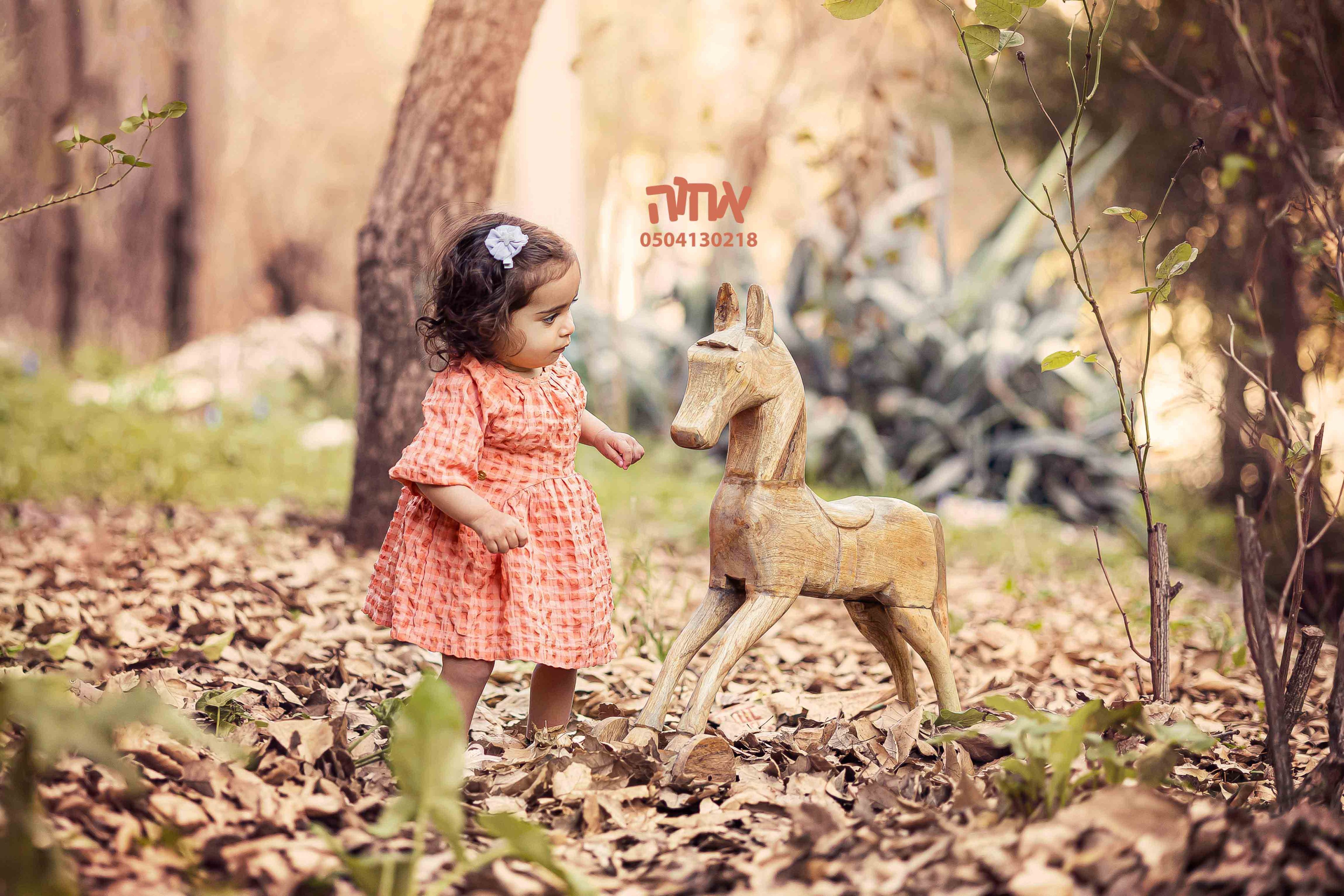 אחוה פלוטקין 0504130218