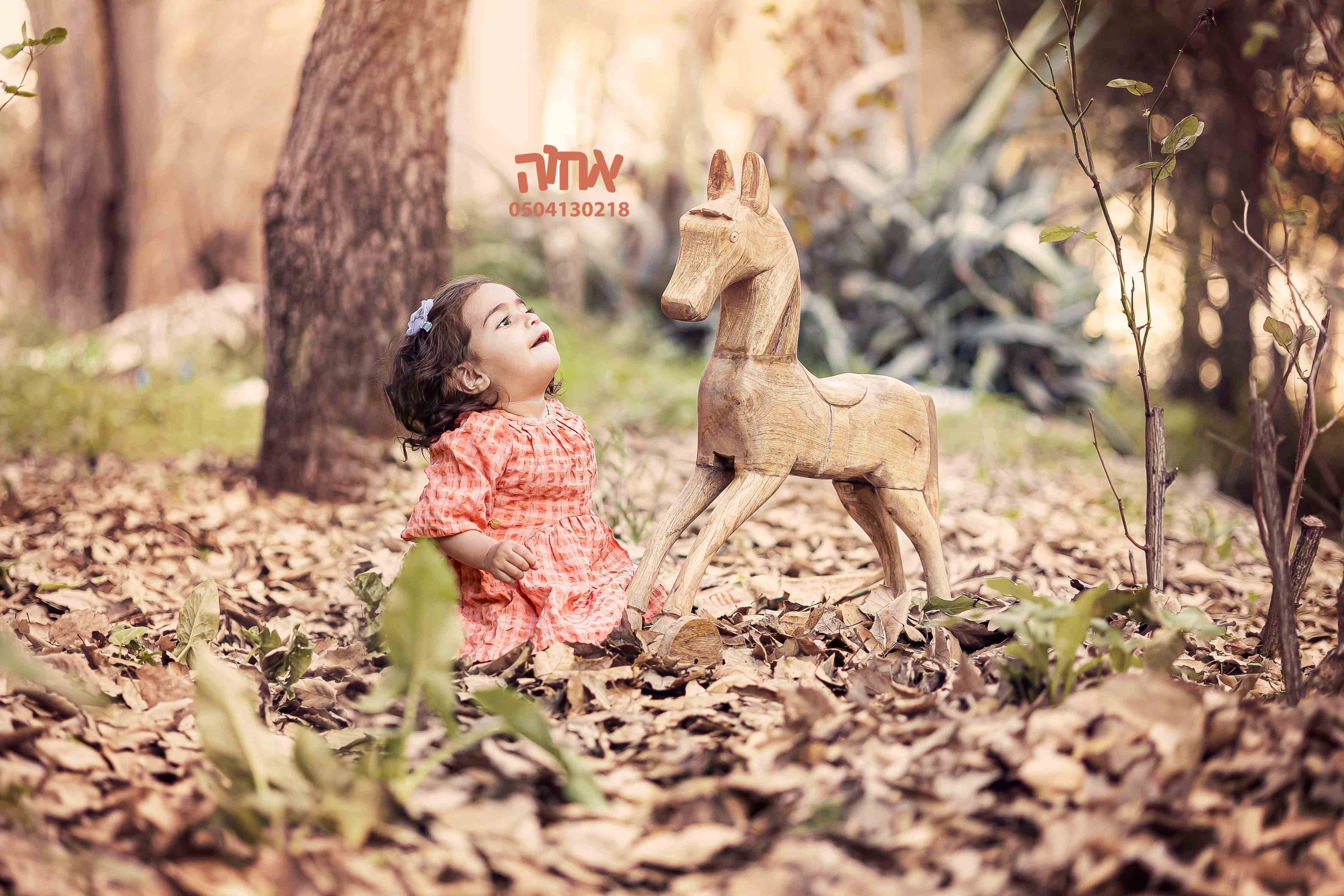 אחוה פלוטקין 0504130218