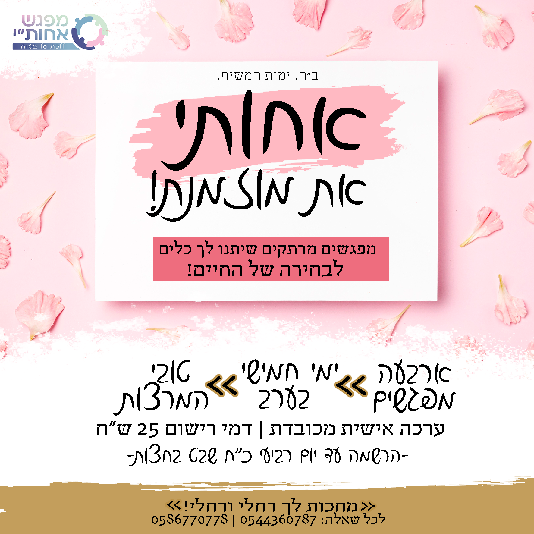 אחותי | עיצוב גרפי | לוצקי דבורה