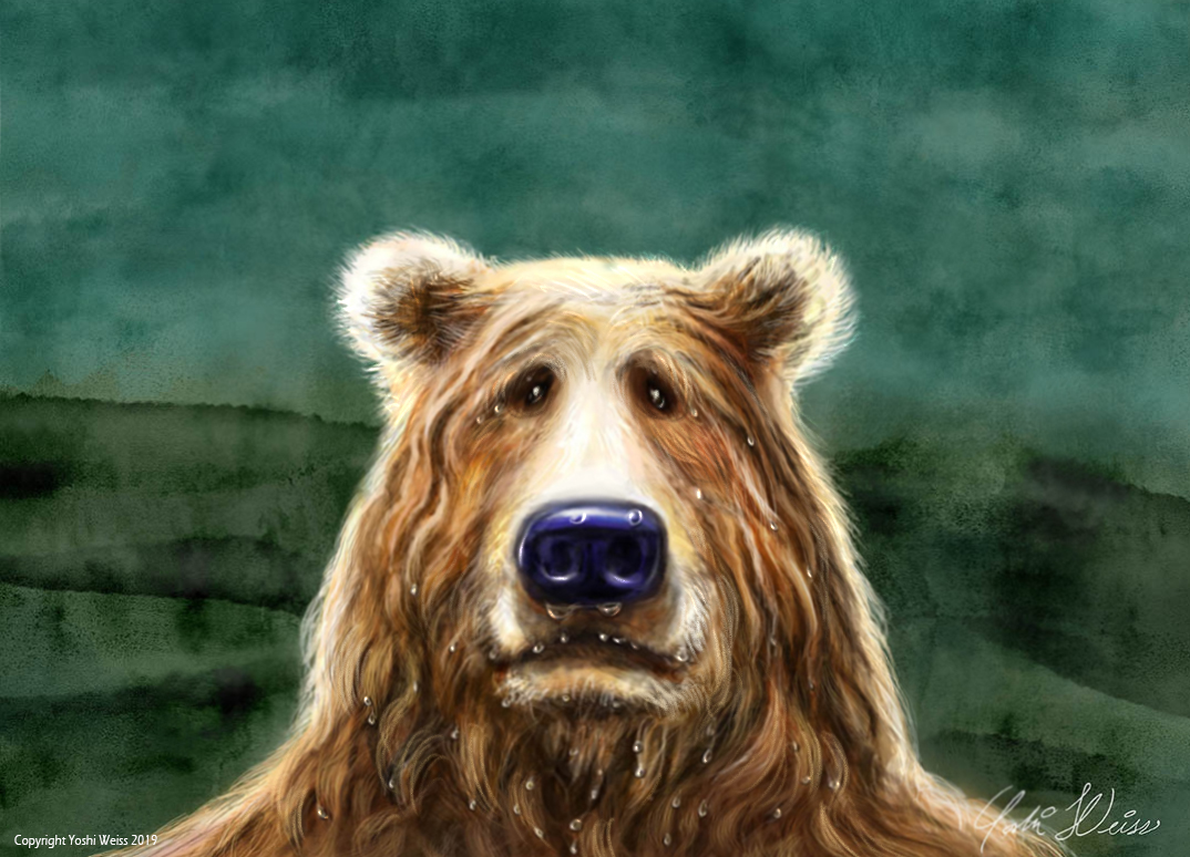 איור דוב ריאליסטי