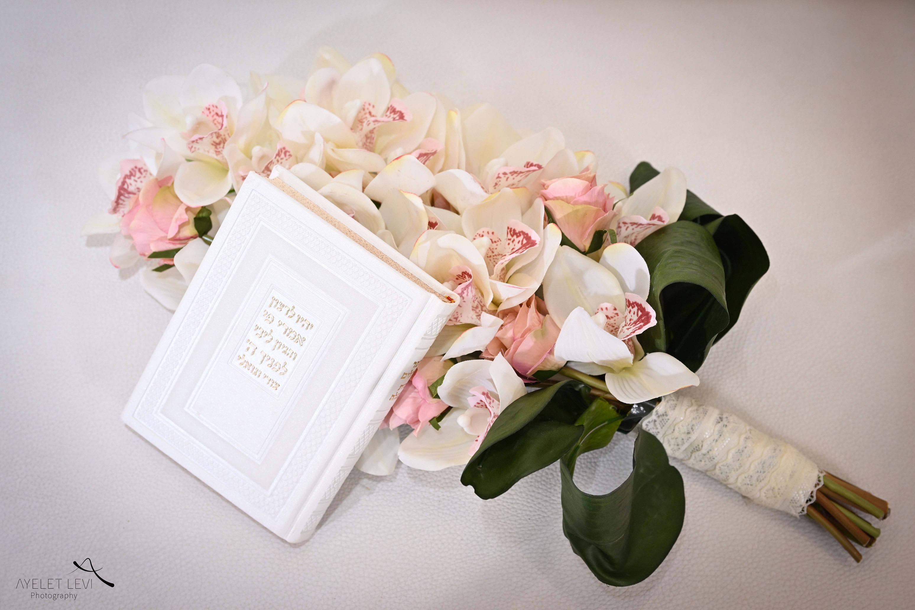 איילת לוי אירועים 1252.jpg