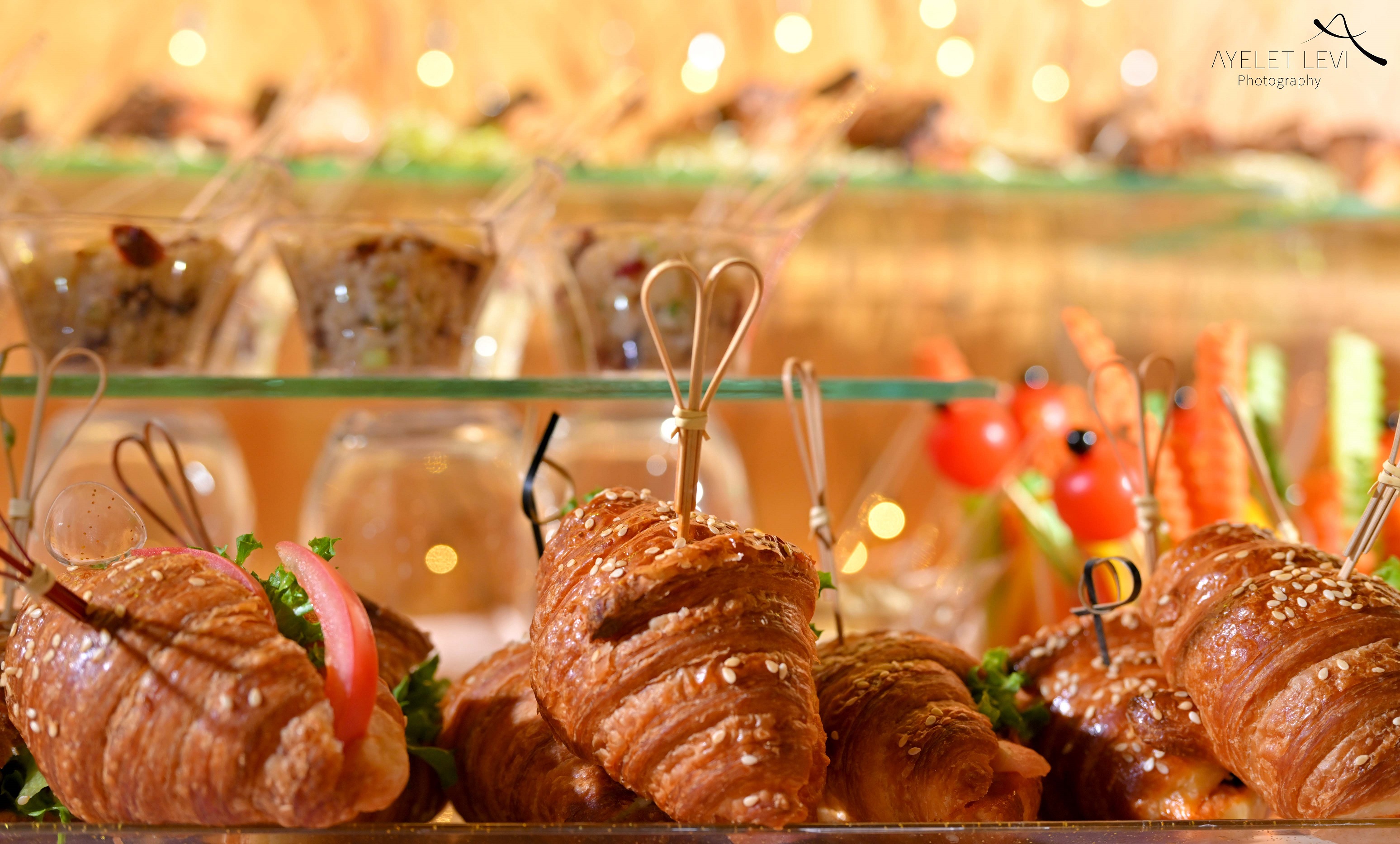 איילת לוי אירועים 14875.jpg