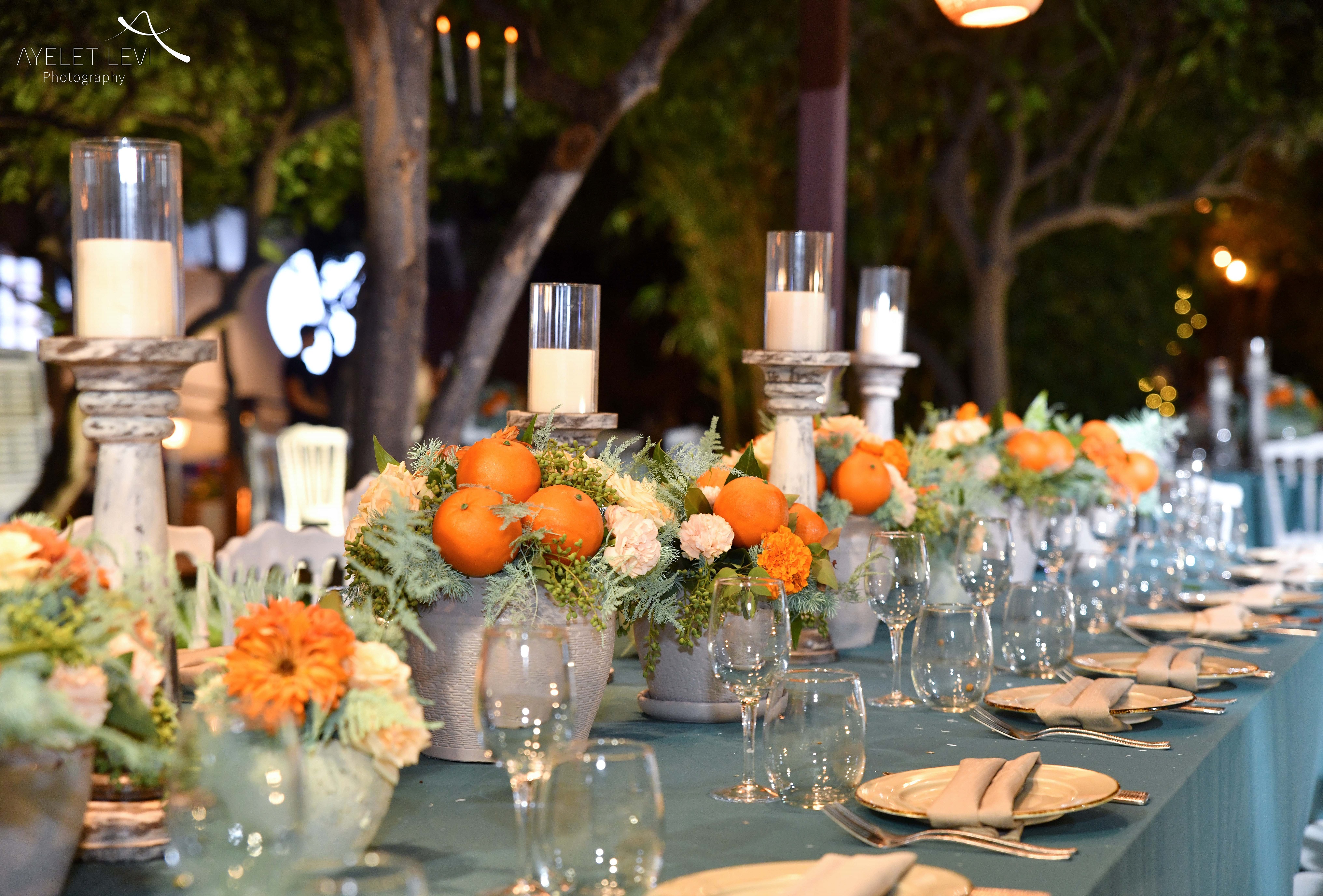 איילת לוי אירועים (20).jpg