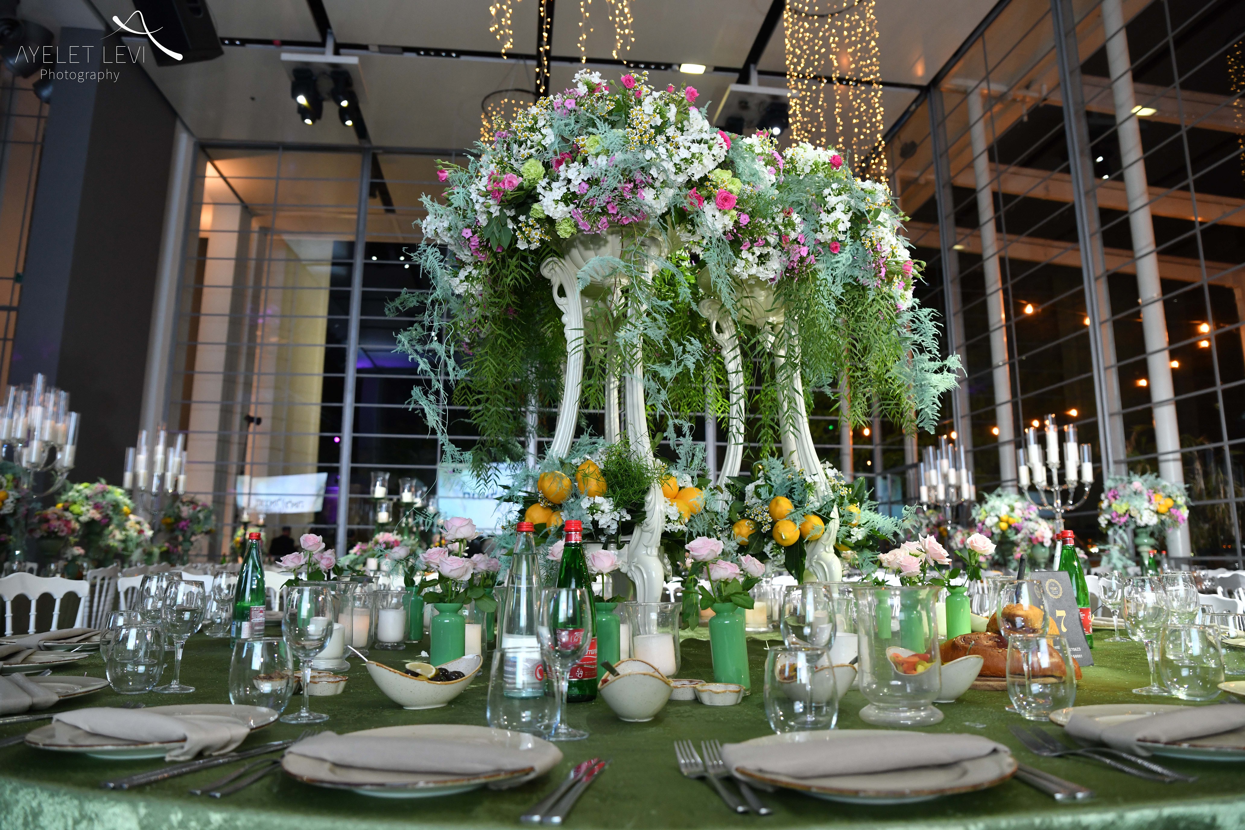 איילת לוי אירועים (24).jpg