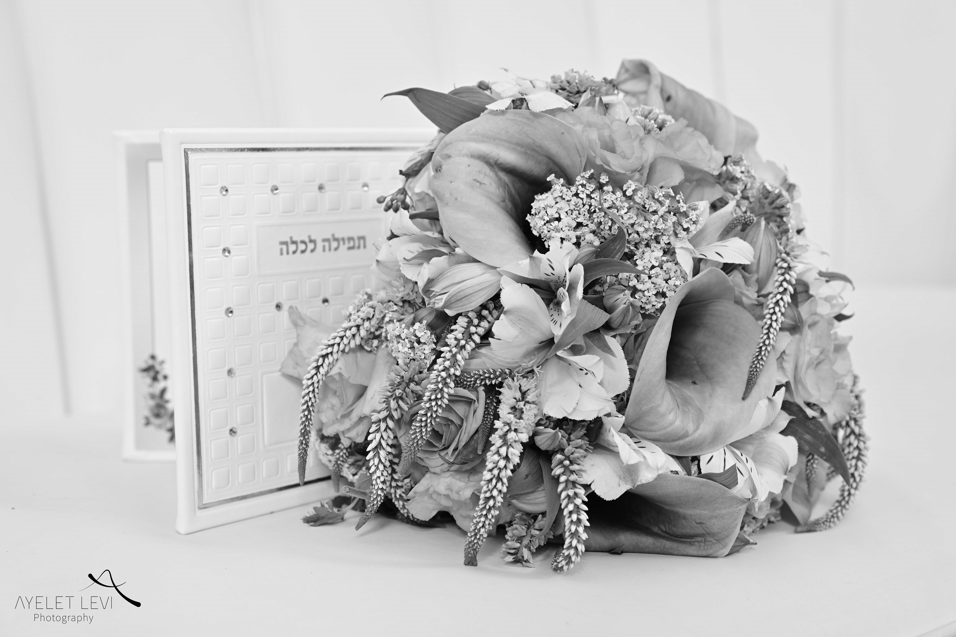 איילת לוי אירועים 4158.jpg