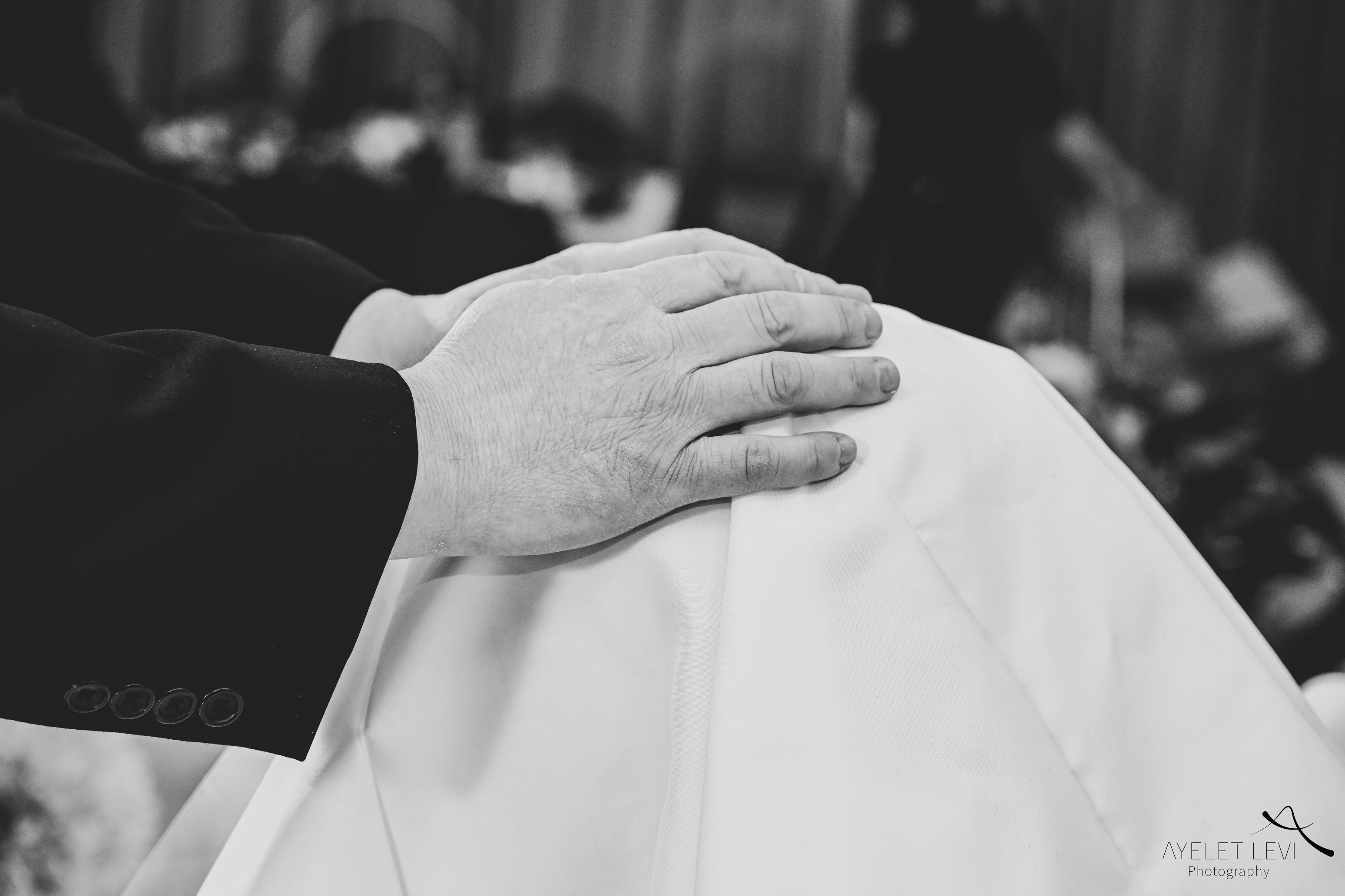 איילת לוי אירועים 4852.jpg