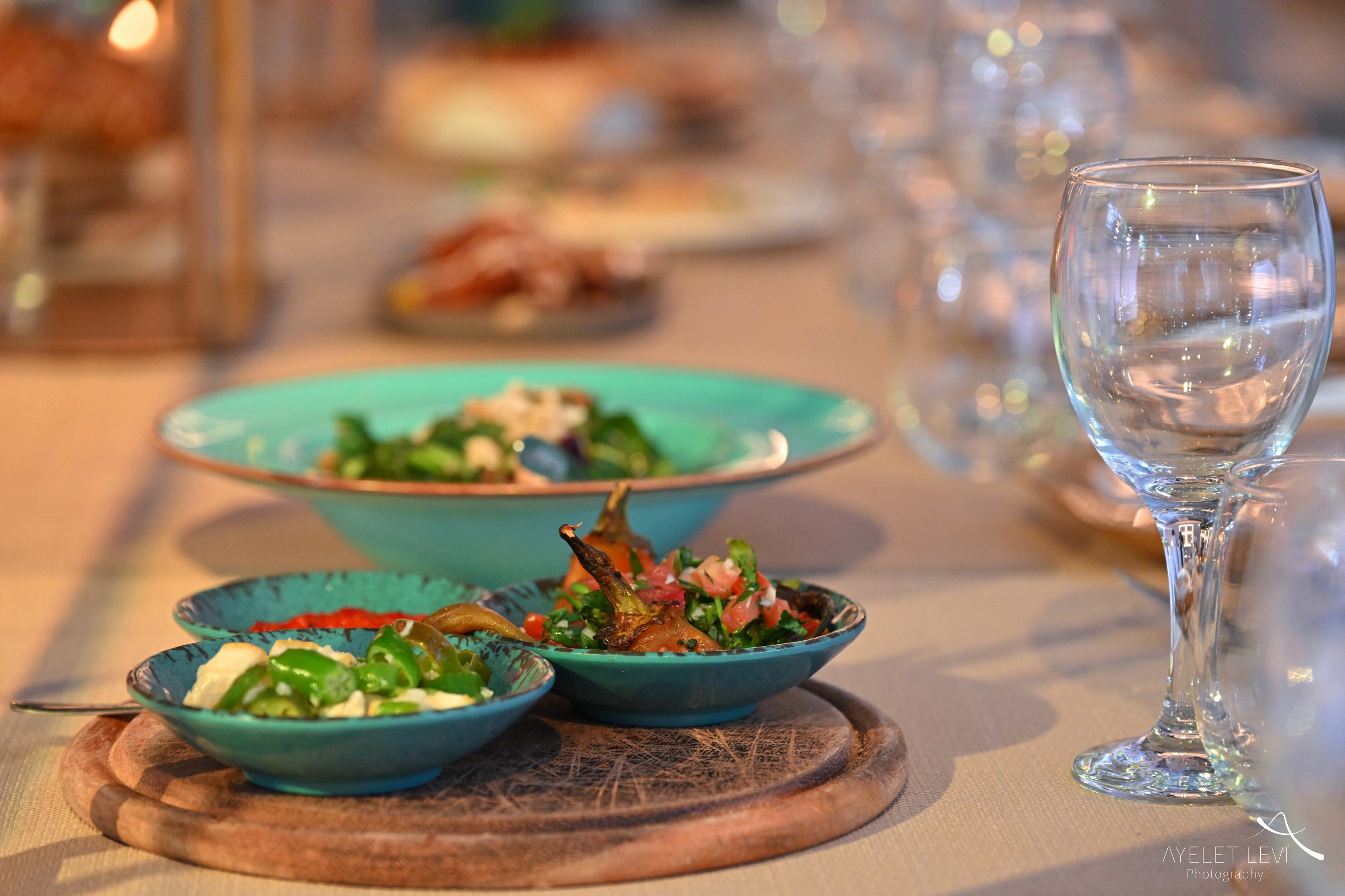 איילת לוי אירועים 5264.jpg