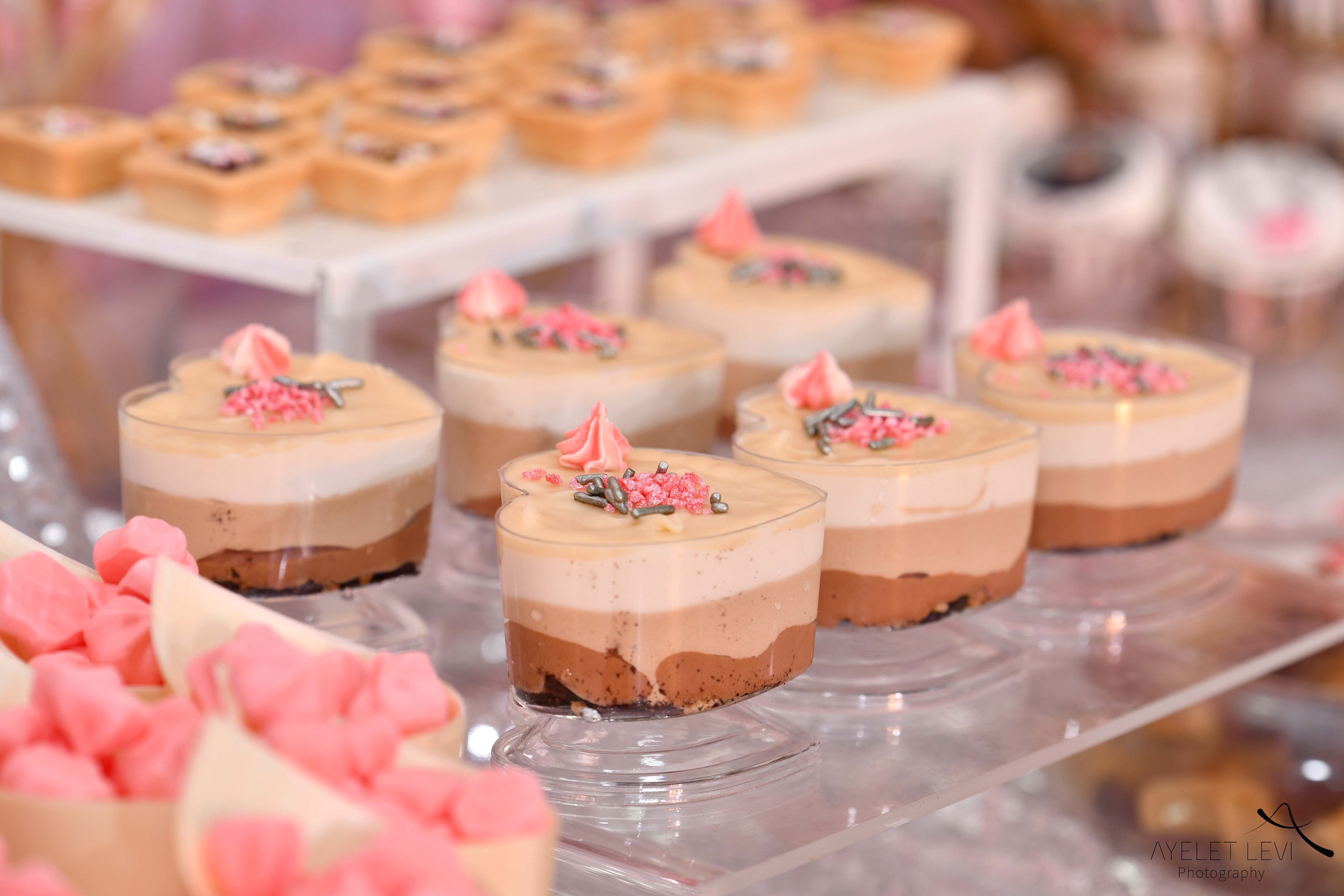 איילת לוי אירועים (8).jpg