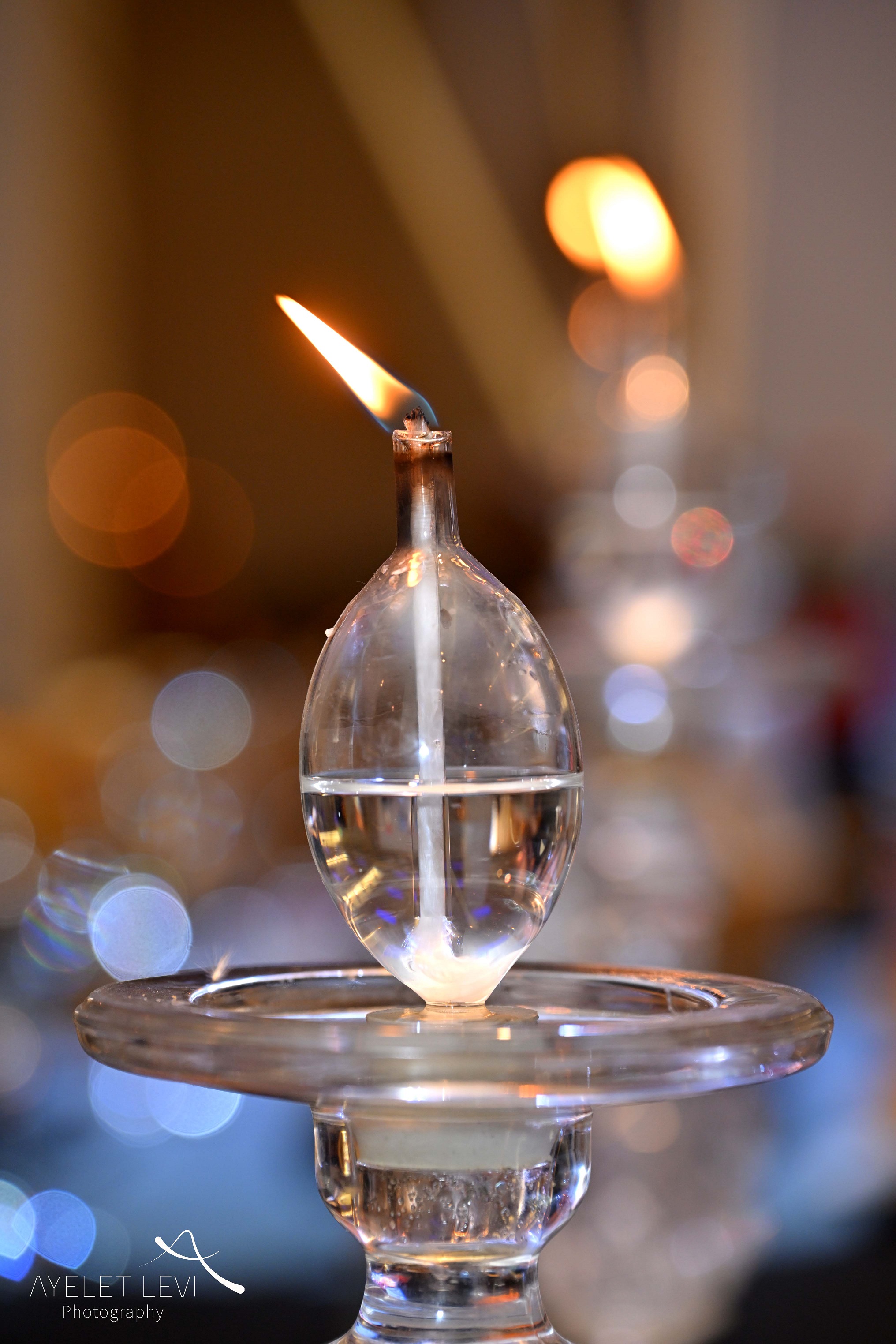 איילת לוי אירועים45987.jpg