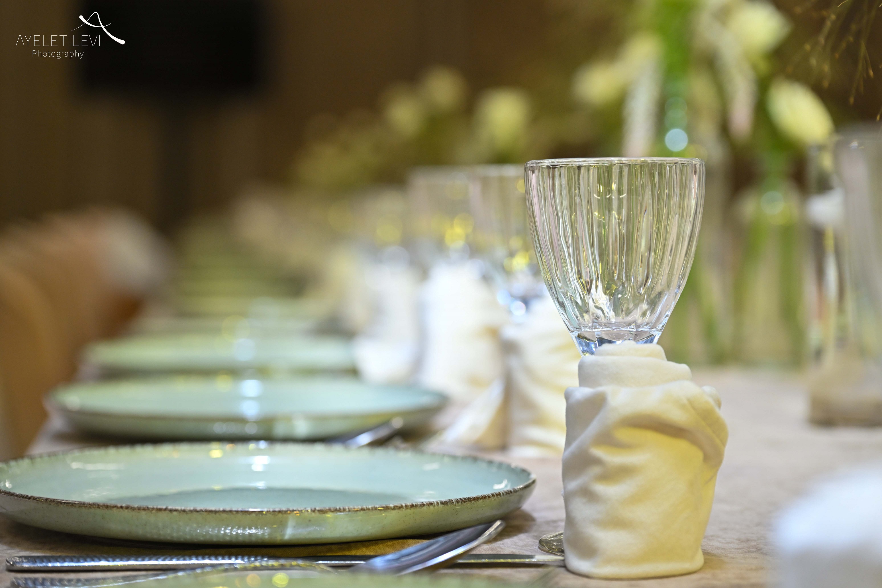 איילת לוי אירועים741.jpg