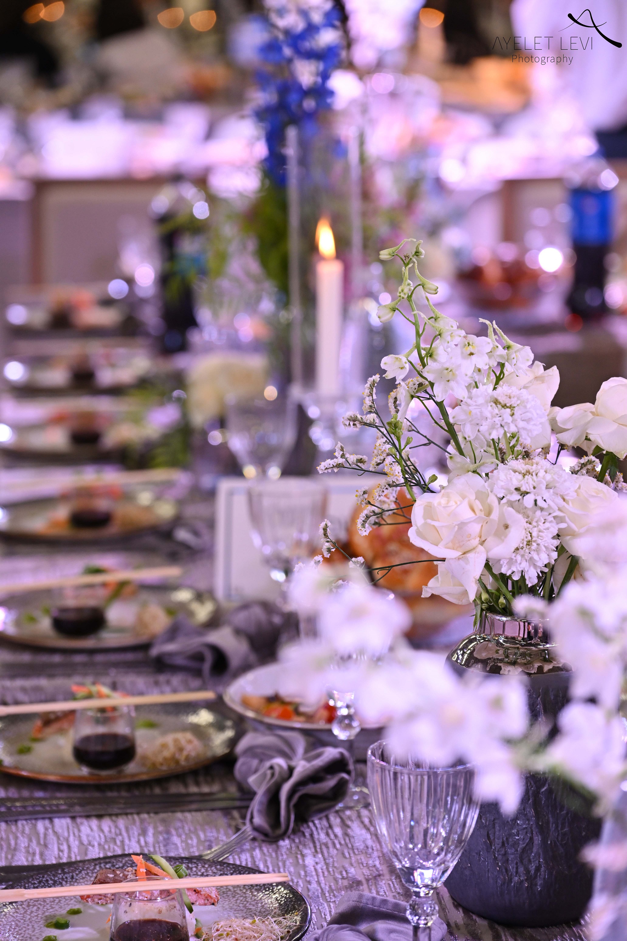 איילת לוי צילום58.jpg