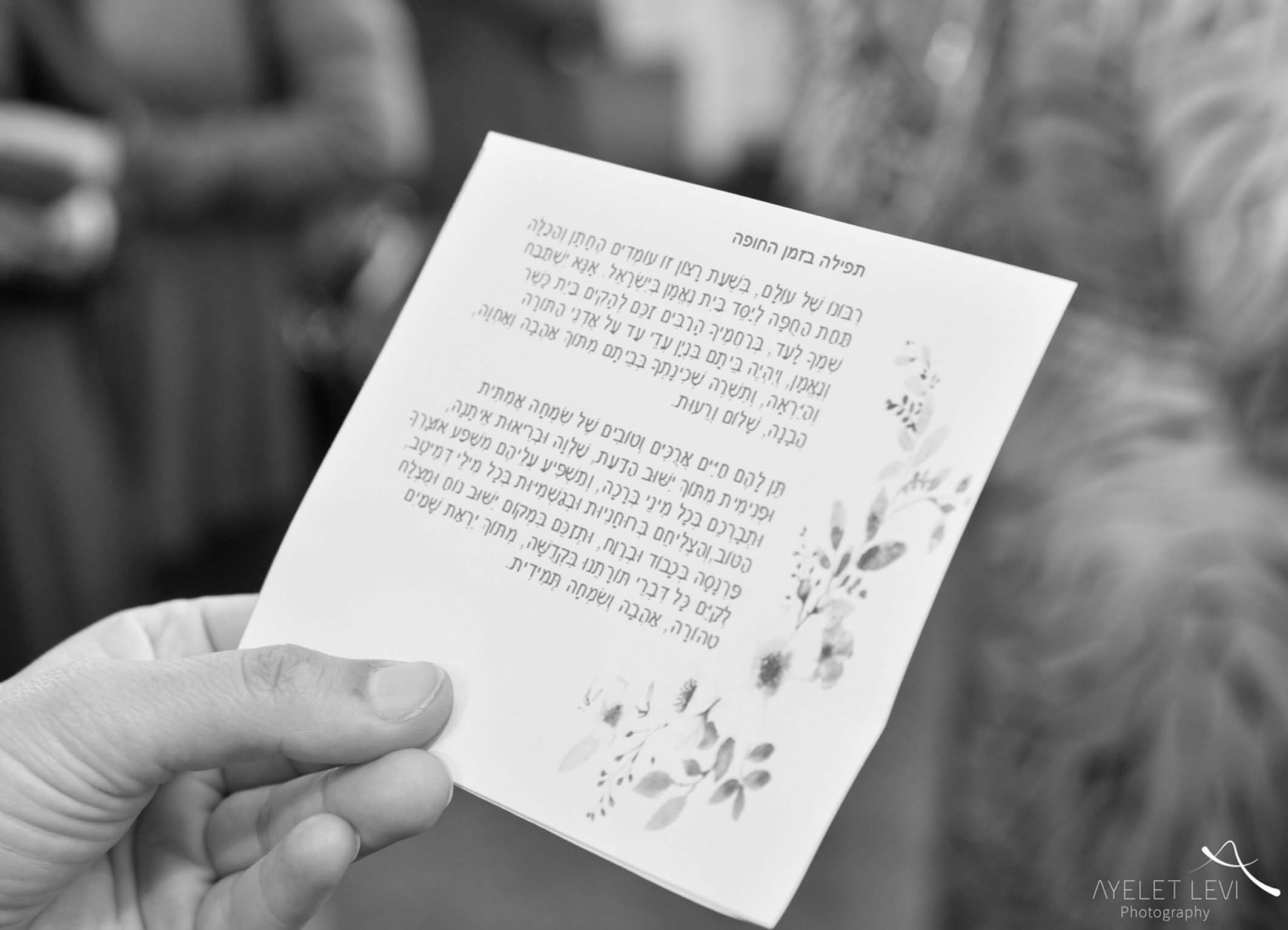 איילת לוי25.jpg