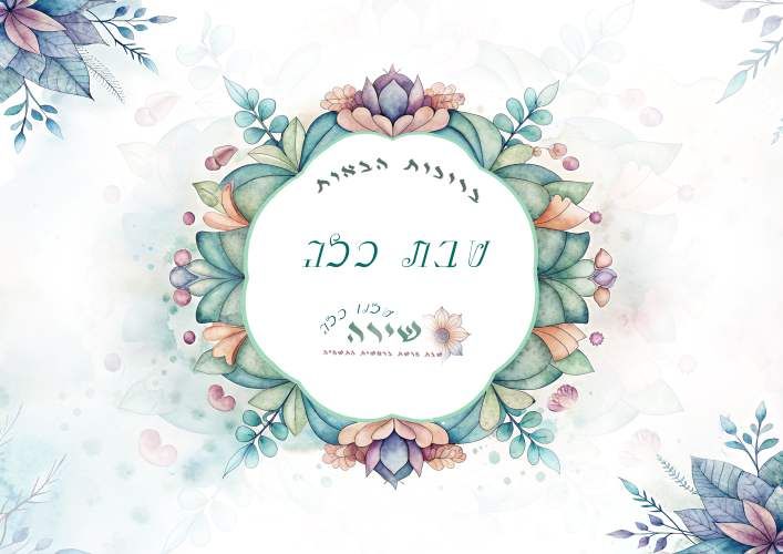 איכות נמוכה.jpg