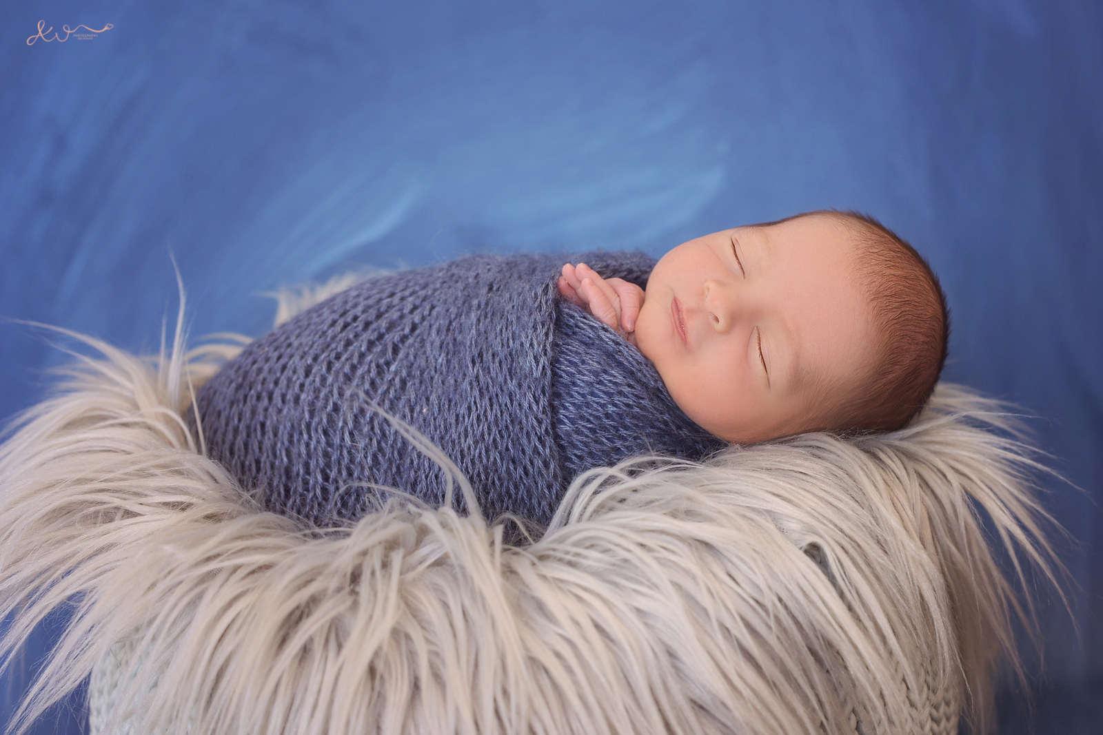 אילה וויג צילום ניו בורן 0548524765 (13).JPG