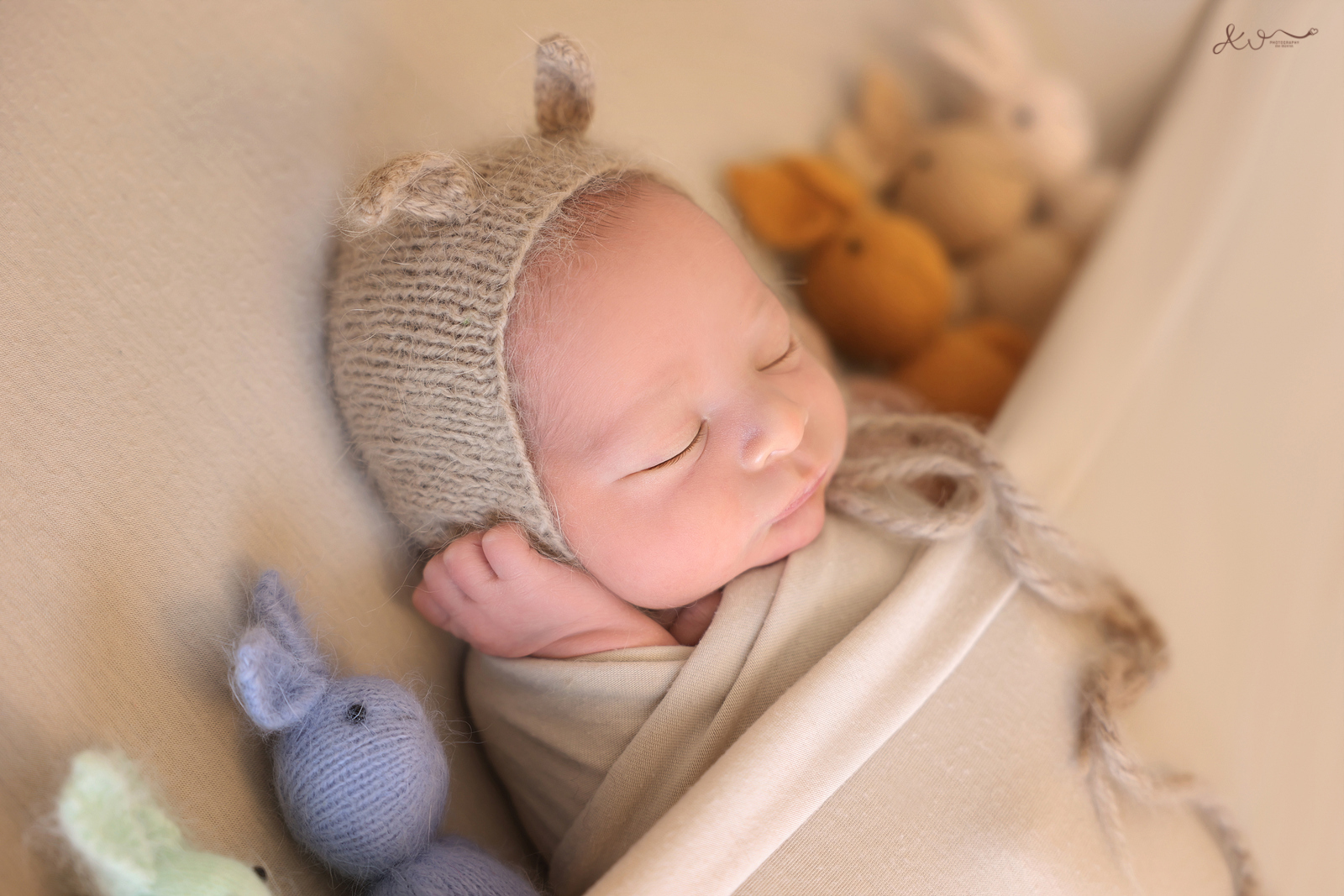 אילה וויג צילום ניו בורן 0548524765 (18).JPG