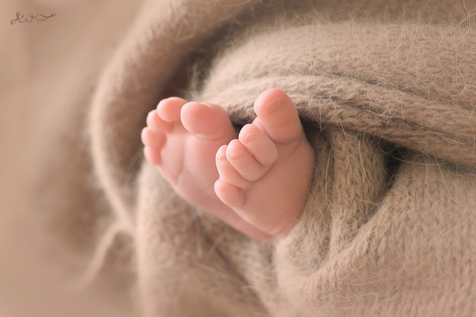 אילה וויג צלמת ניו בורן 054-8524765 (7).JPG