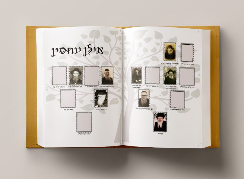 אילן יוחסין