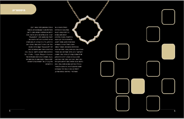 אינדיזיין 3