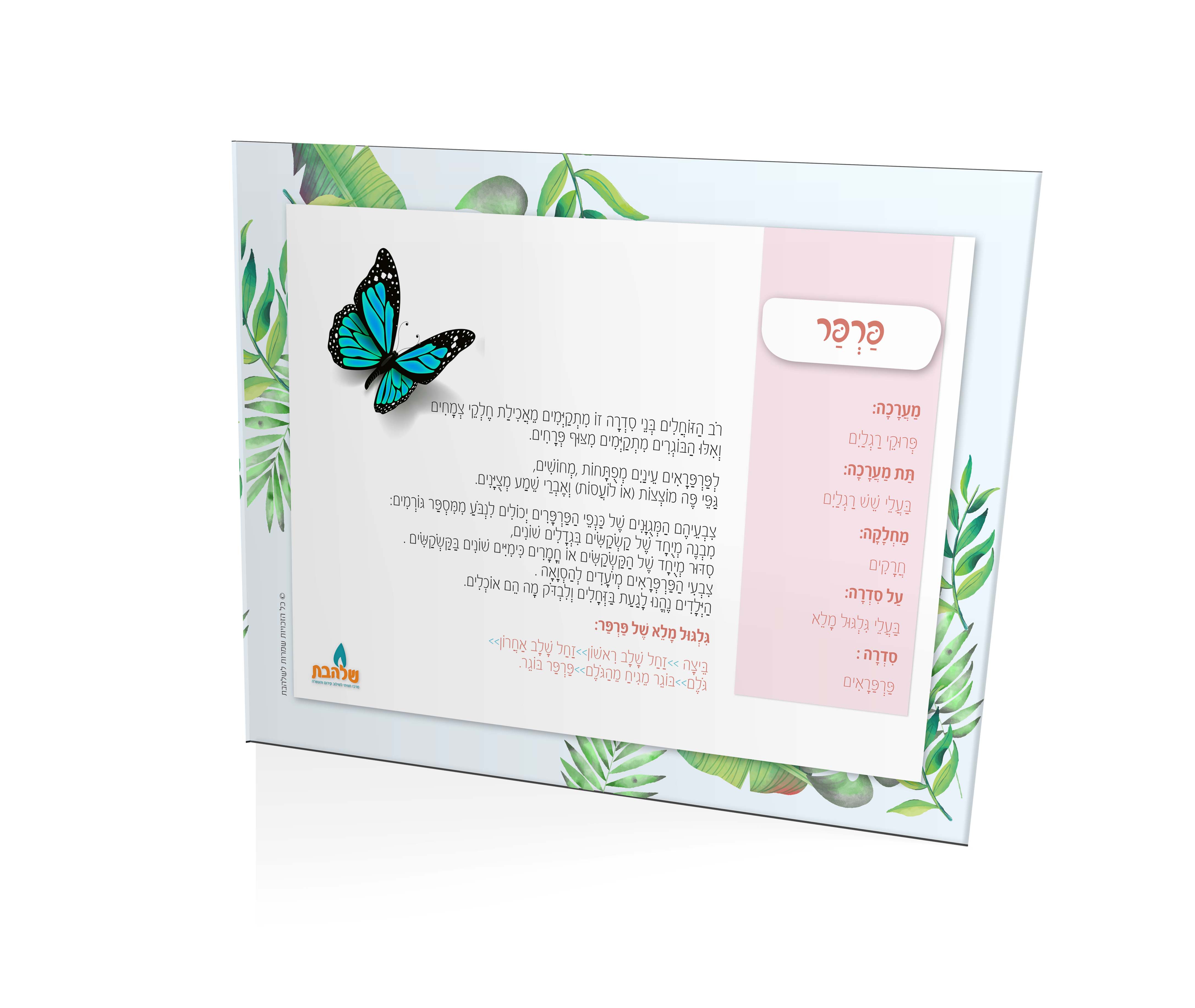 אינציקלופדיה בפנים.jpg