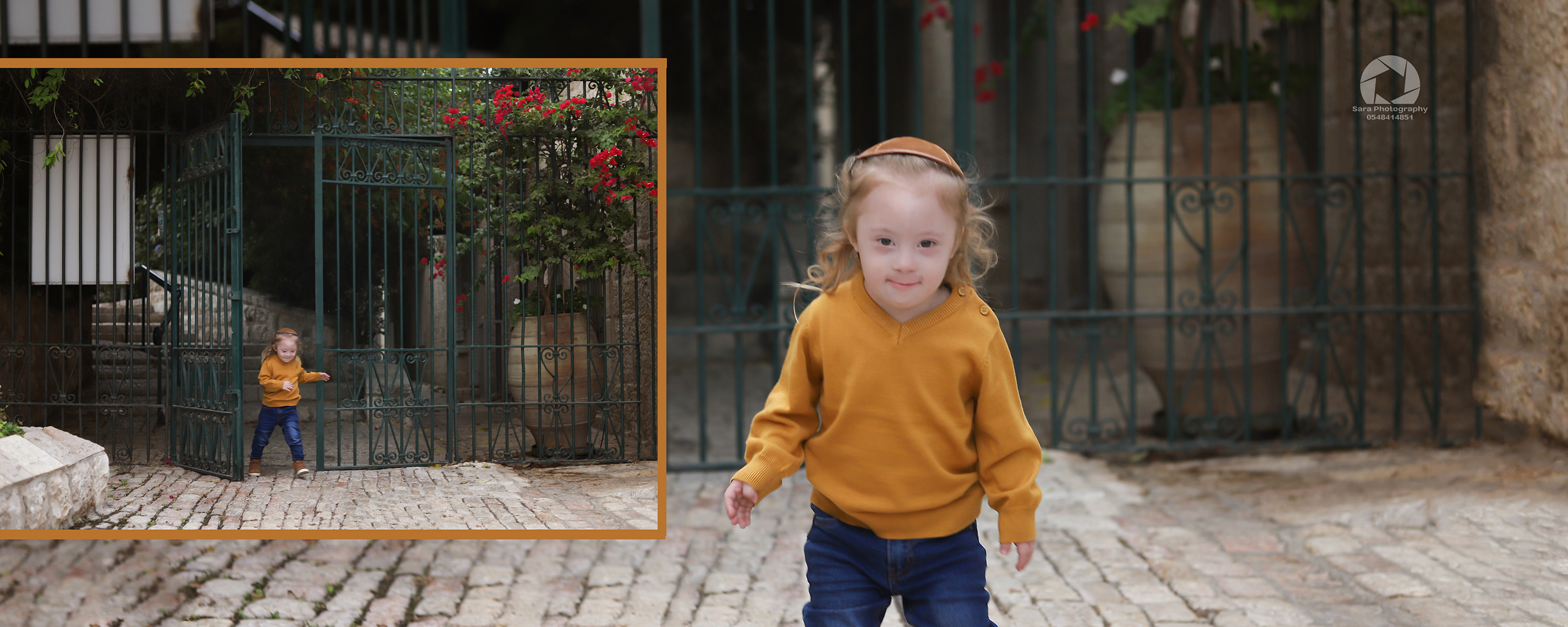 אלבום נוחי שער ירוק.jpg