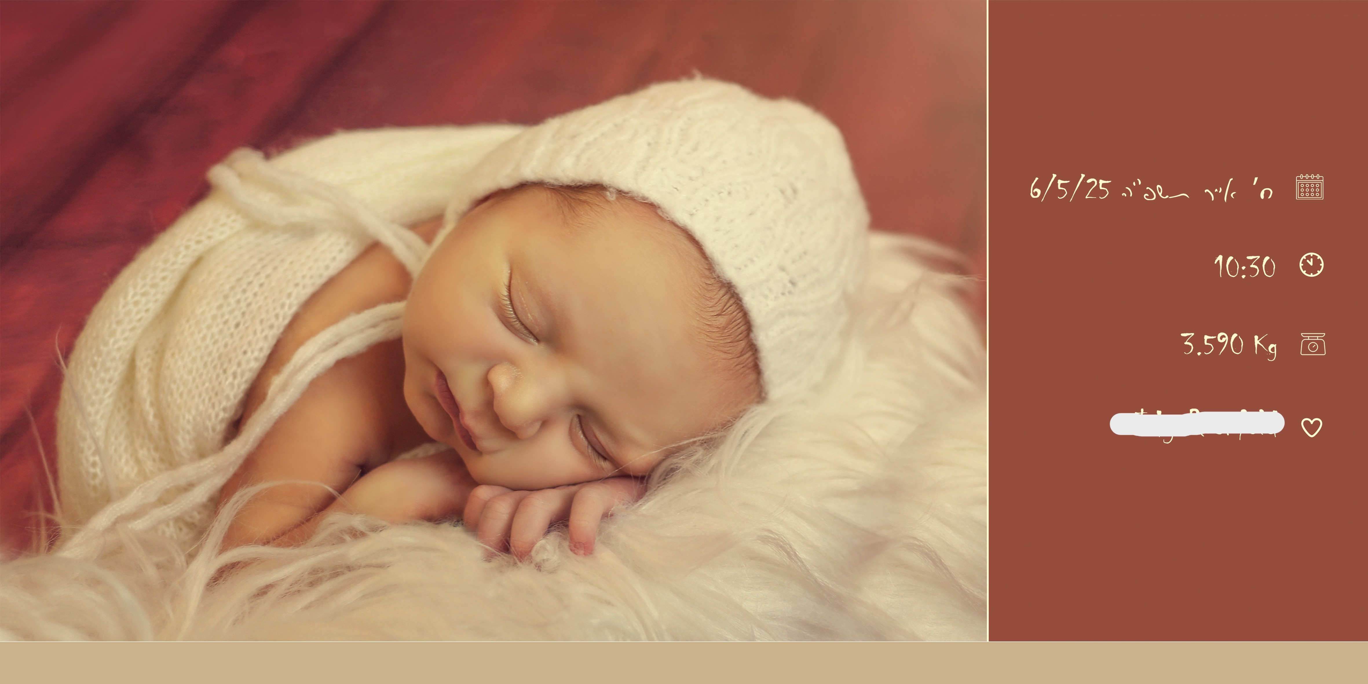 אלבום ניו בורן . שרי שרייבר