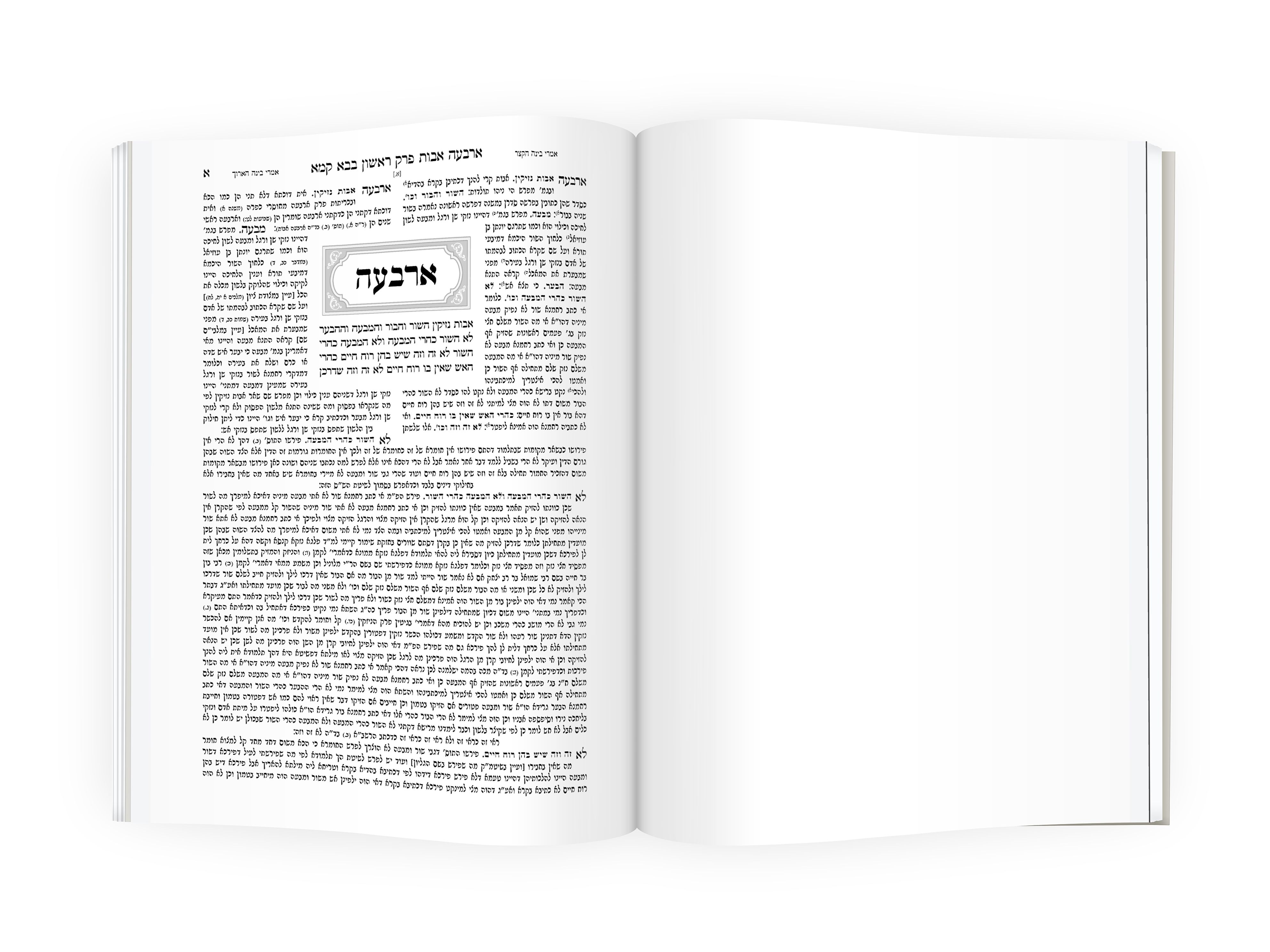 אמרי בינה.jpg