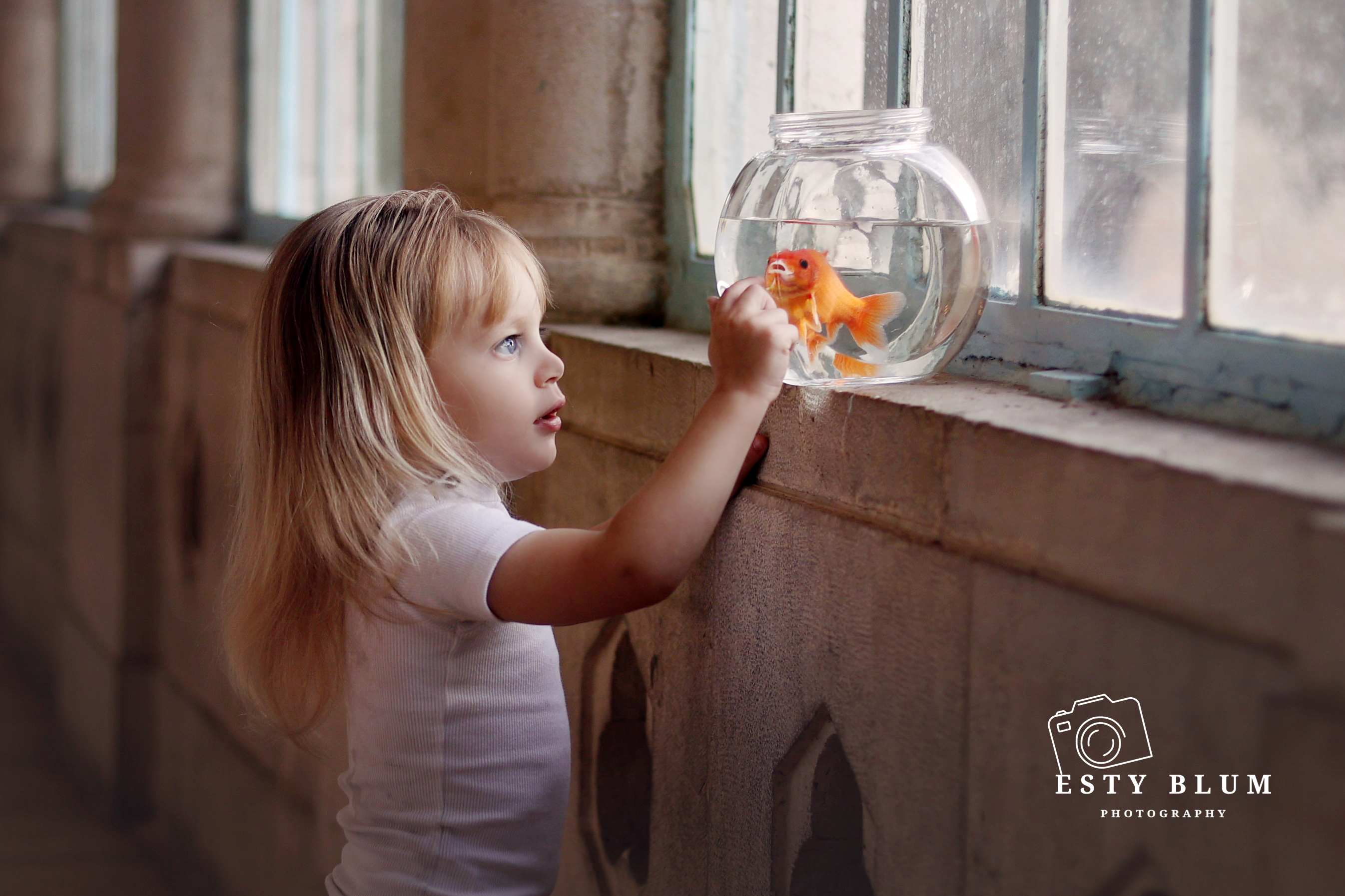 אסתי בלום צילומי חוץ (A1111) - תמונה ששווה זהב