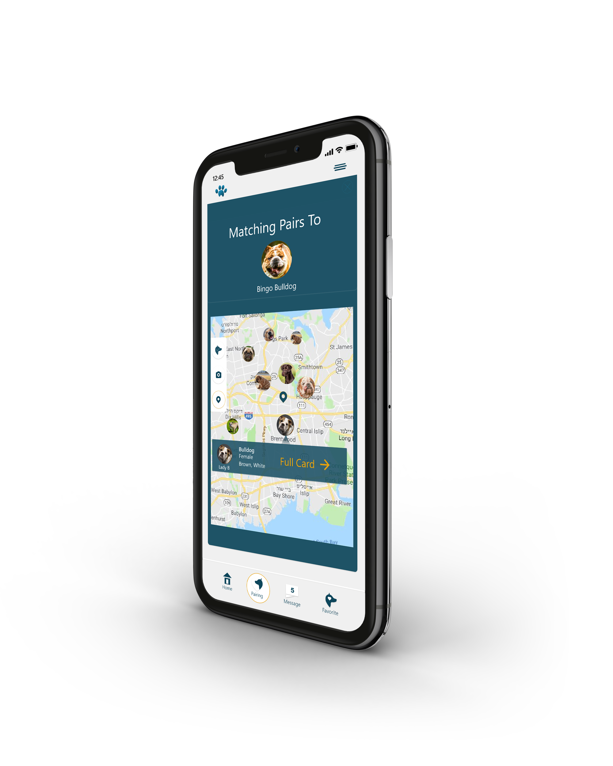 אפליקציית בתחום הכלבים