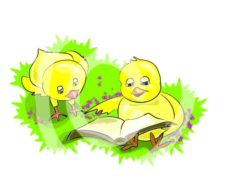 אפרוח קורא.jpg,