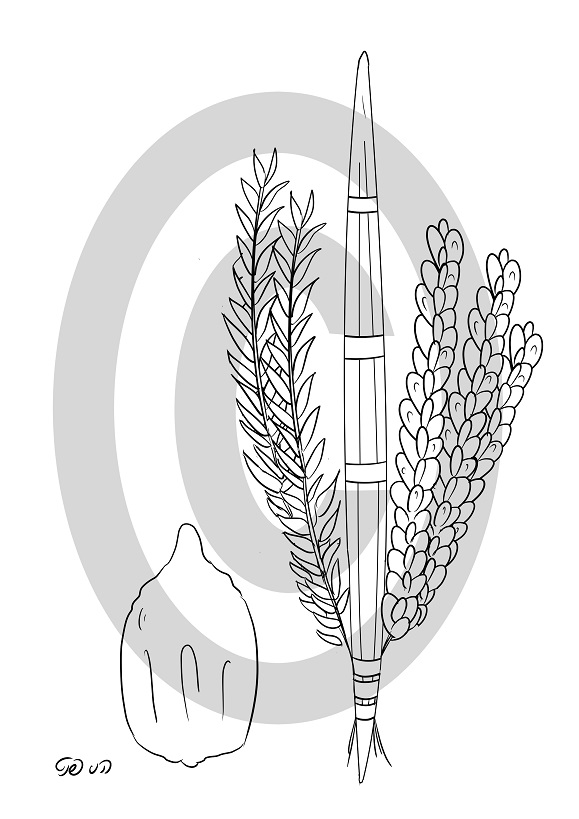 ארבעת המינים (הני פנט)