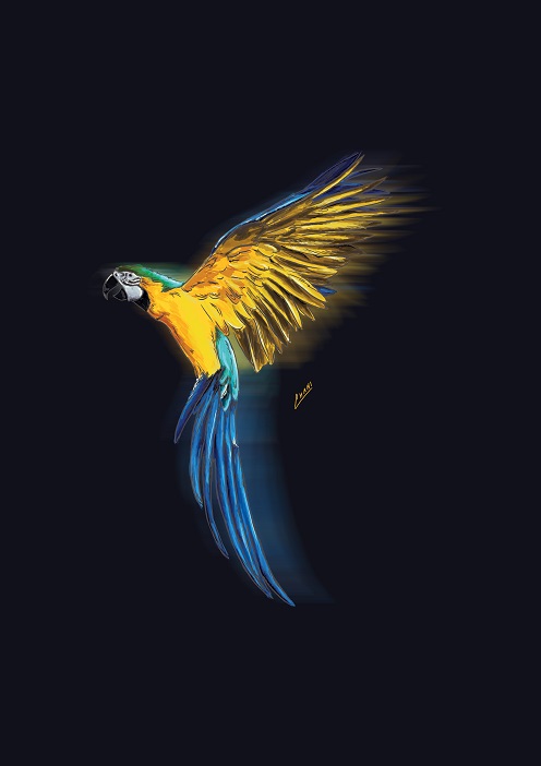 ארה.
נעשה עבור "קומיקוד"