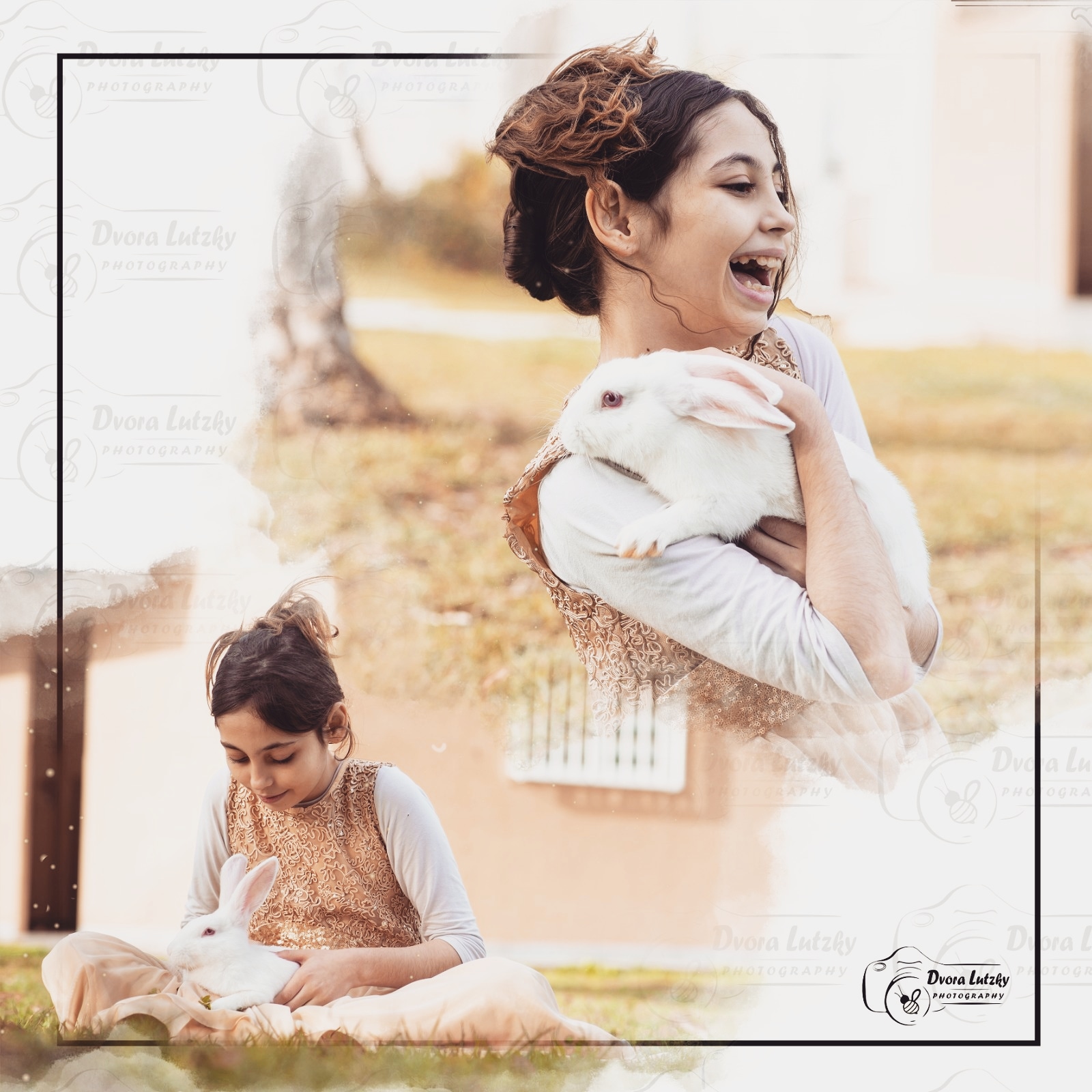 ארנבים בגווני קסם  | לוצקי דבורה צלמת