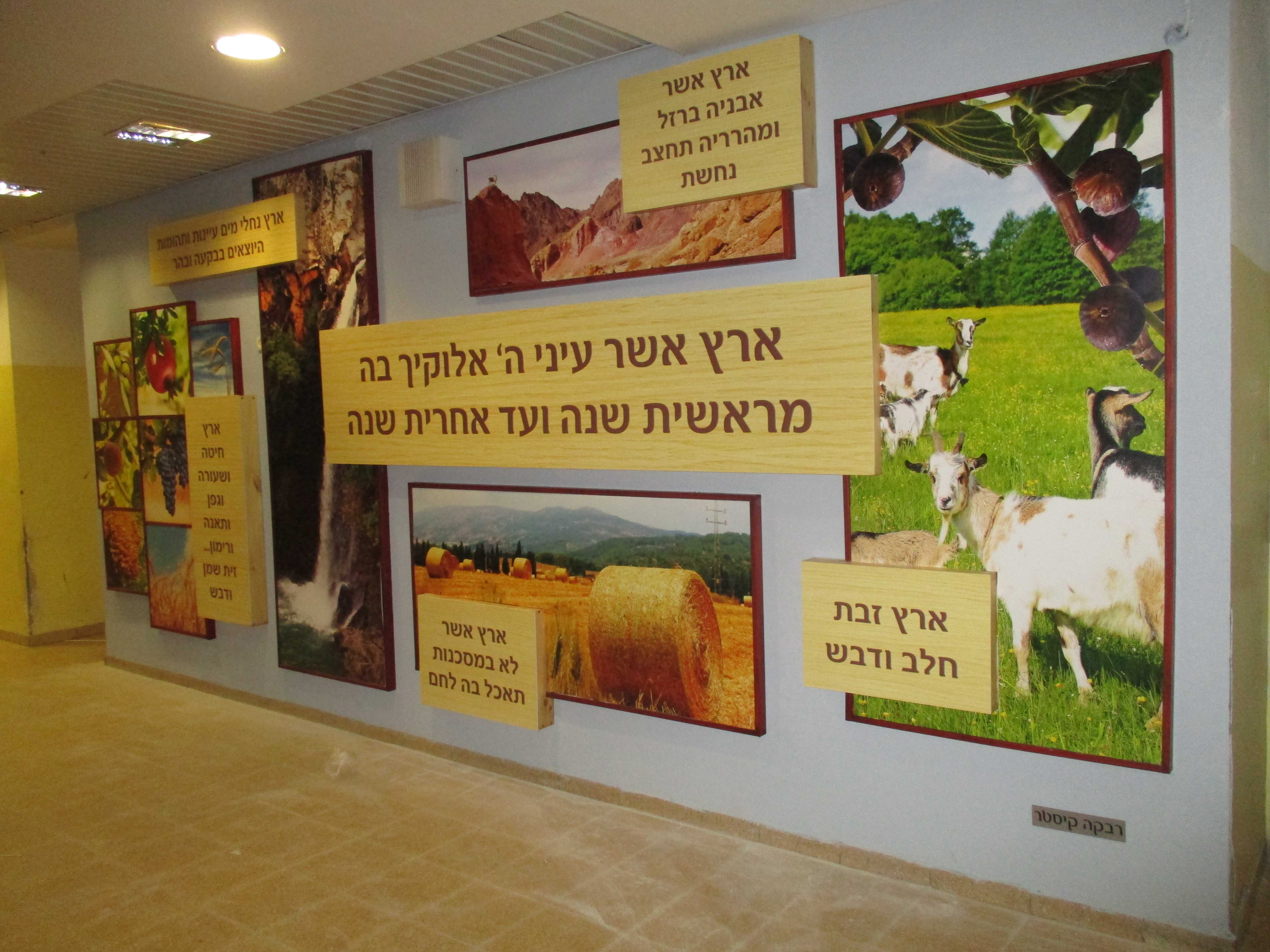 ארץ ישראל דרך החיים הר נוף1.jpg