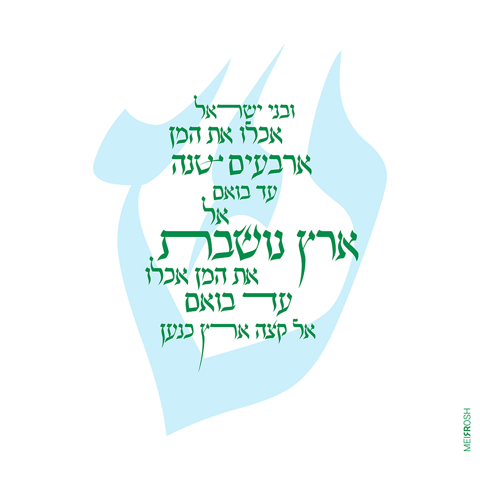 ארץ נושבת MeirRoshDesign11