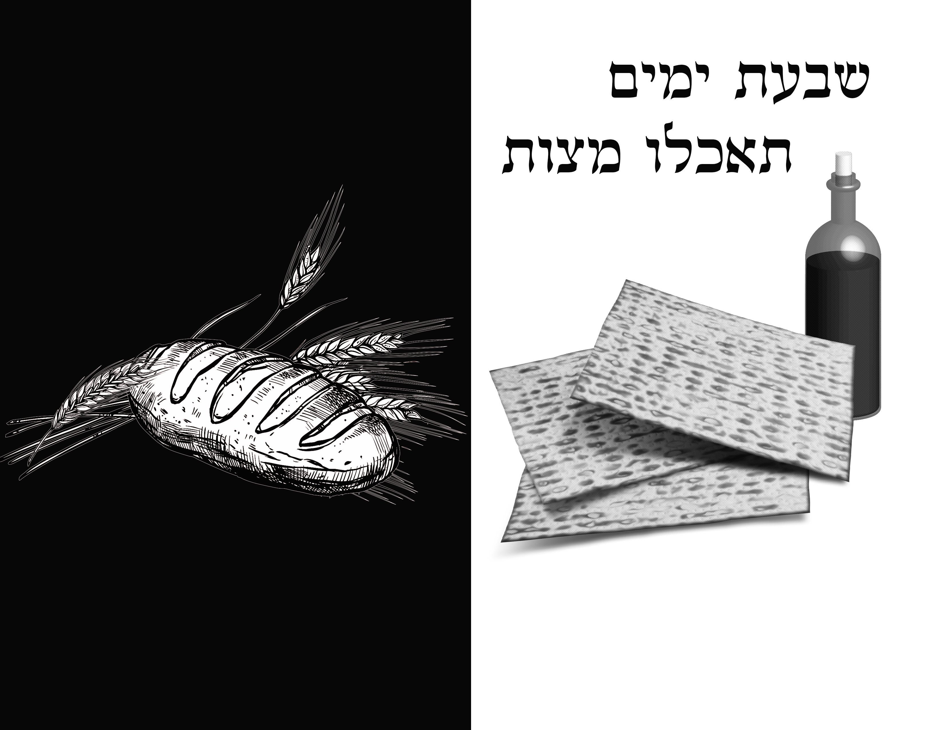 אתגר 43