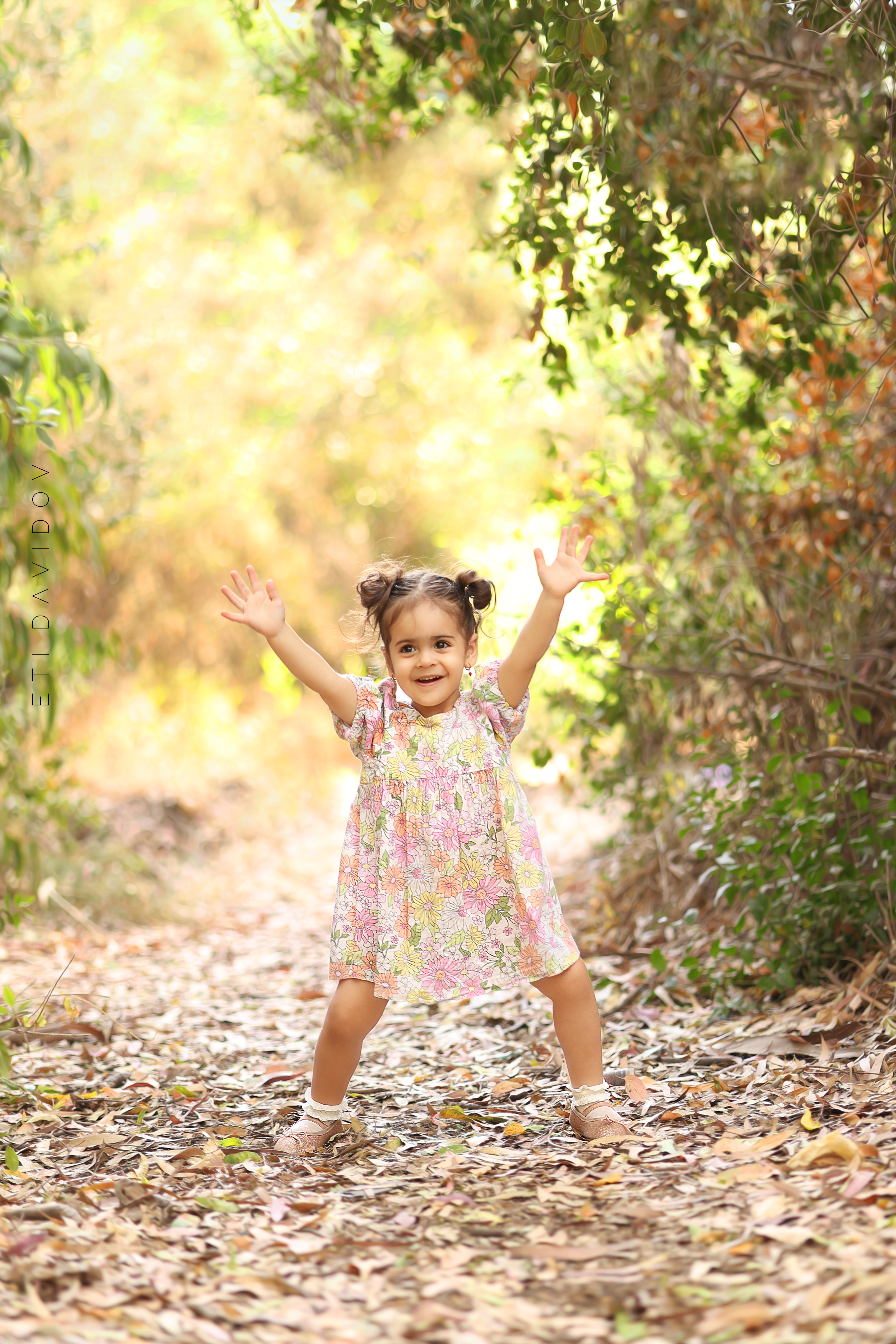 אתי דוידוב 0533188737 (13).png