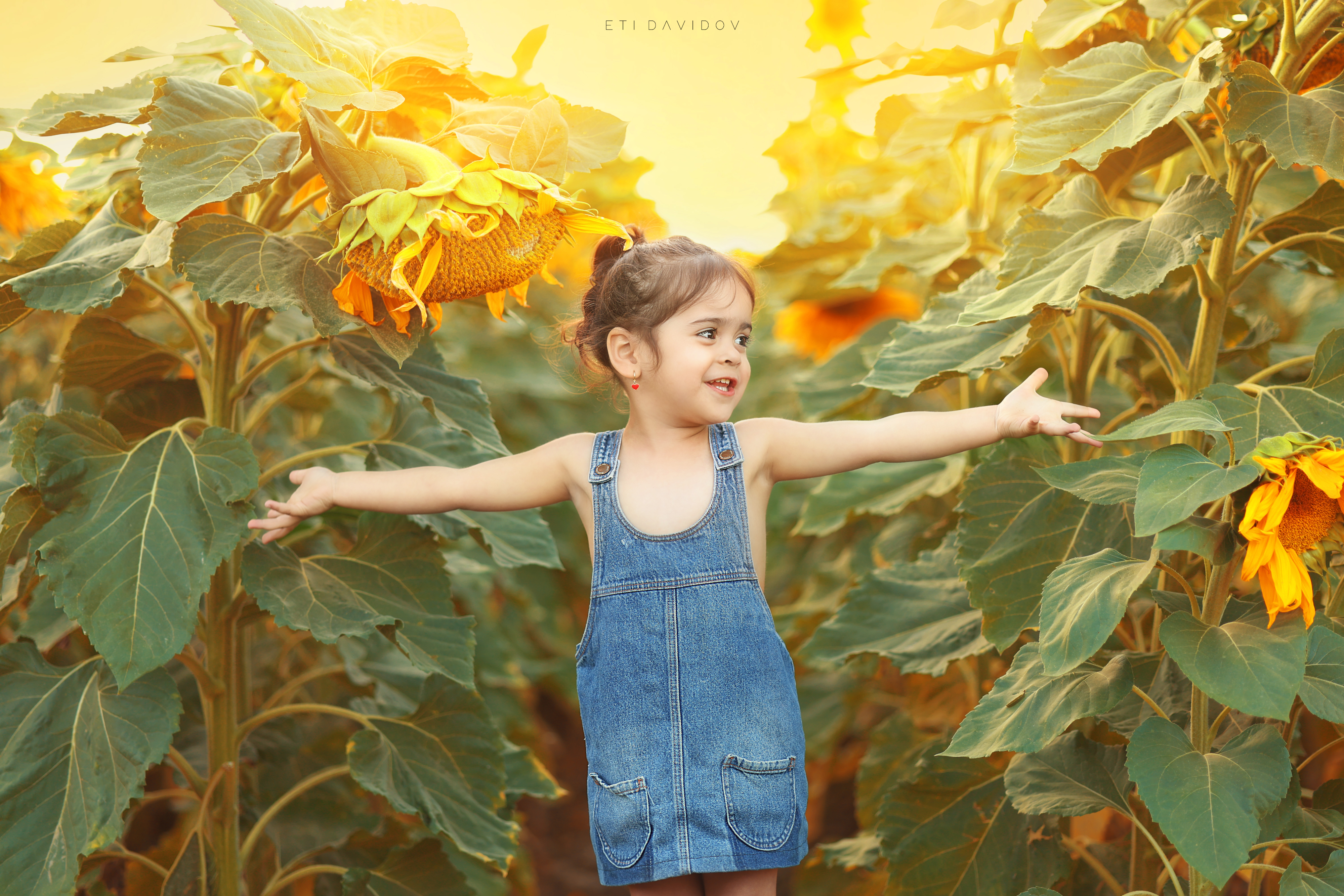 אתי דוידוב 0533188737 (23).png