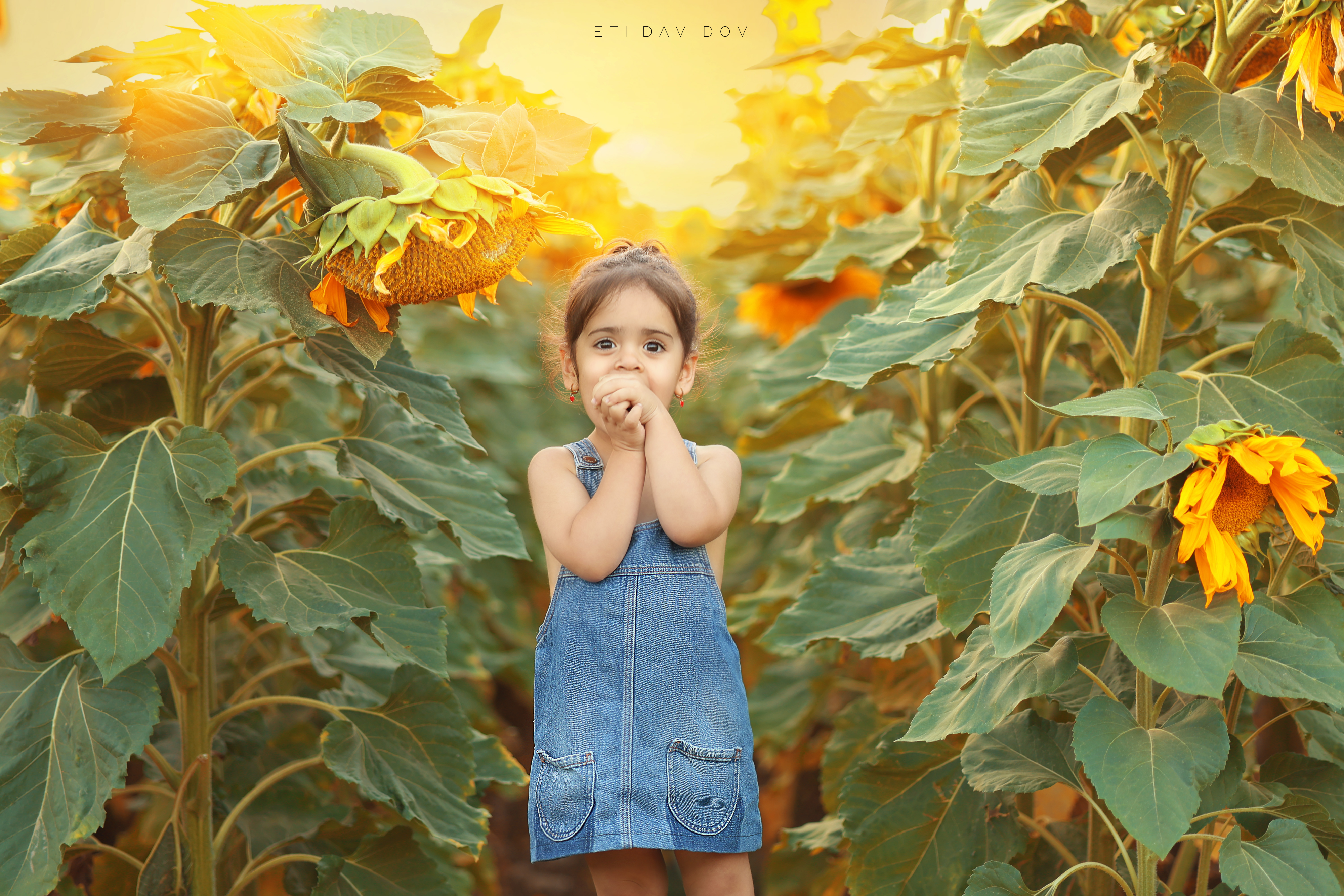 אתי דוידוב 0533188737 (24).png